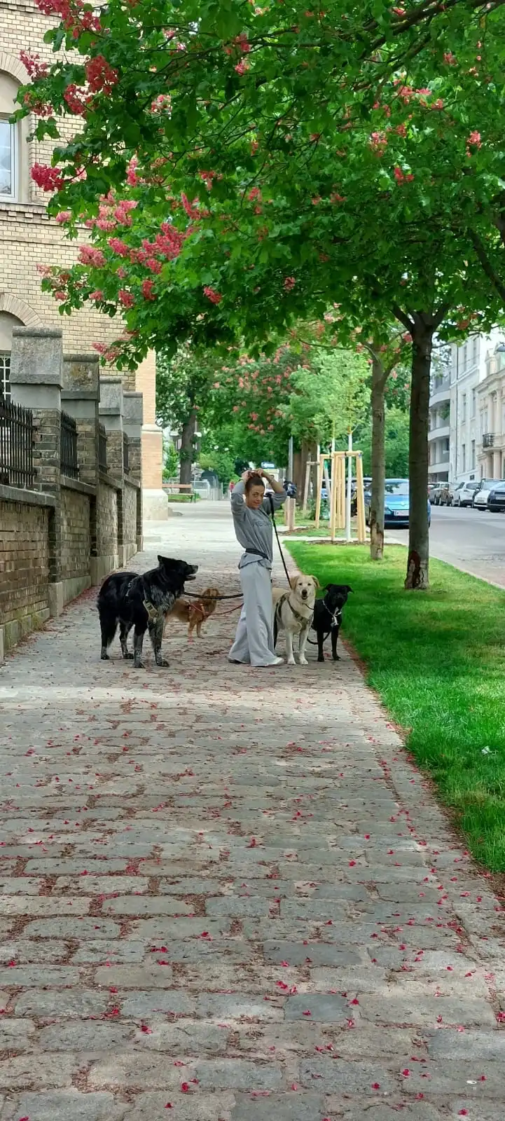image-20