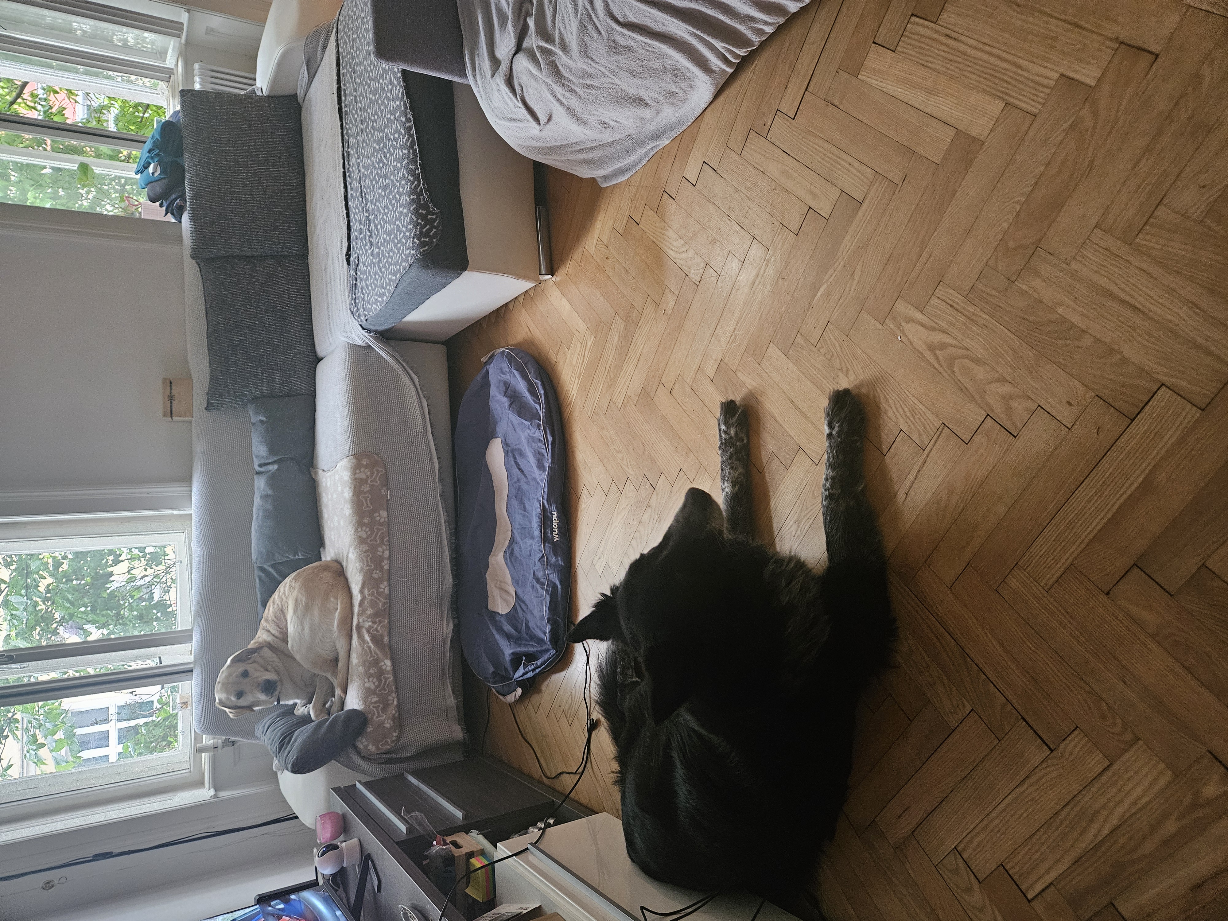 image-44