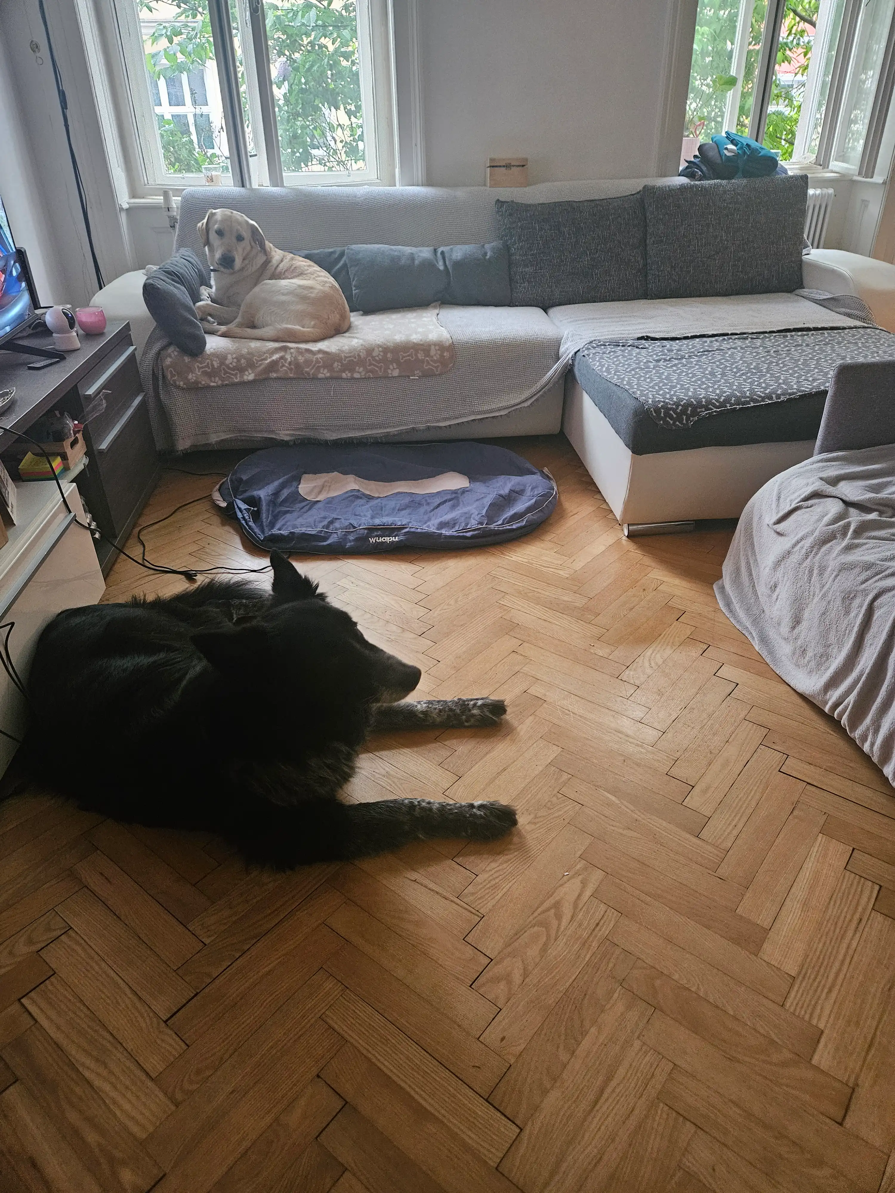 image-44