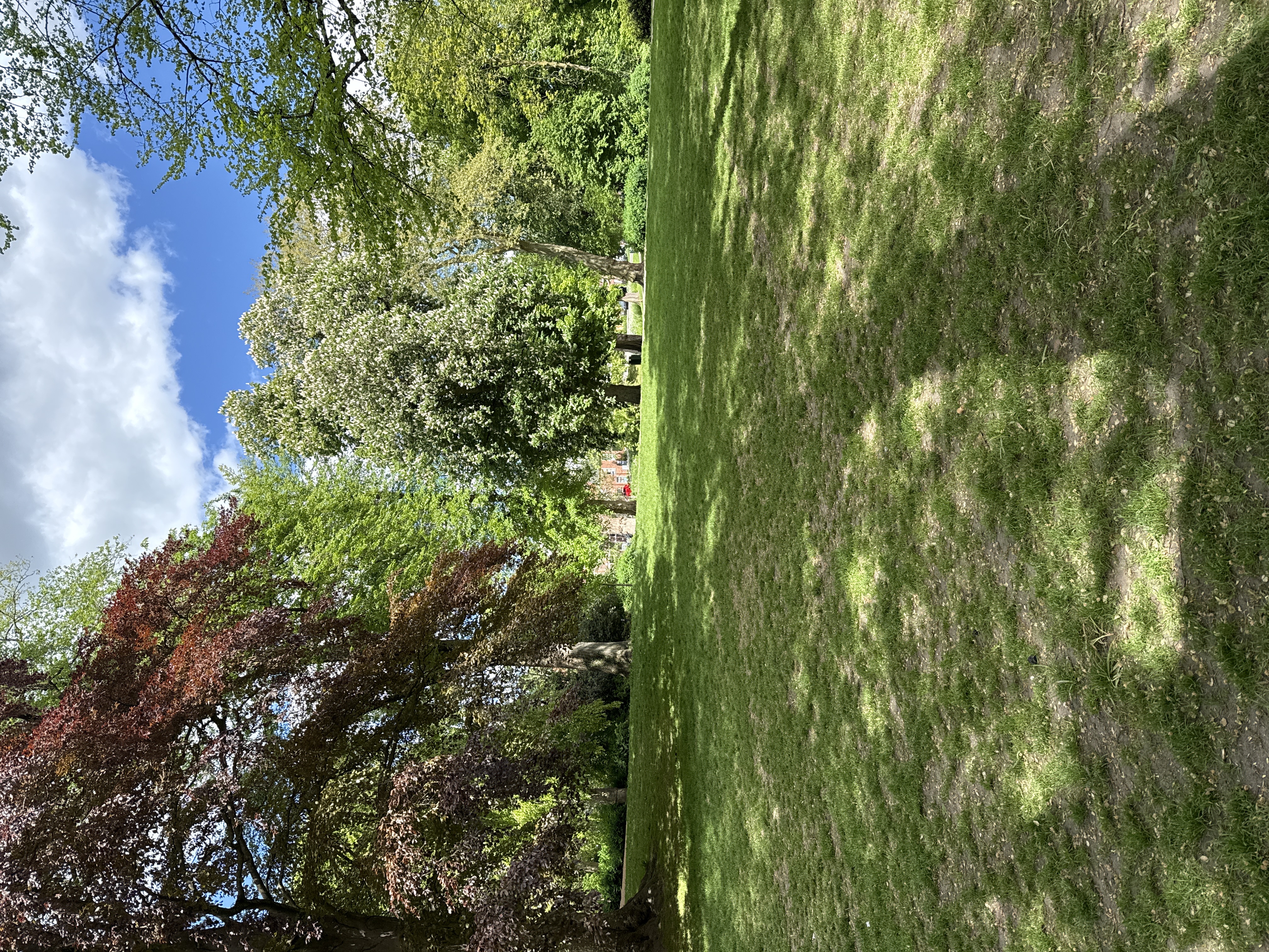 image-17