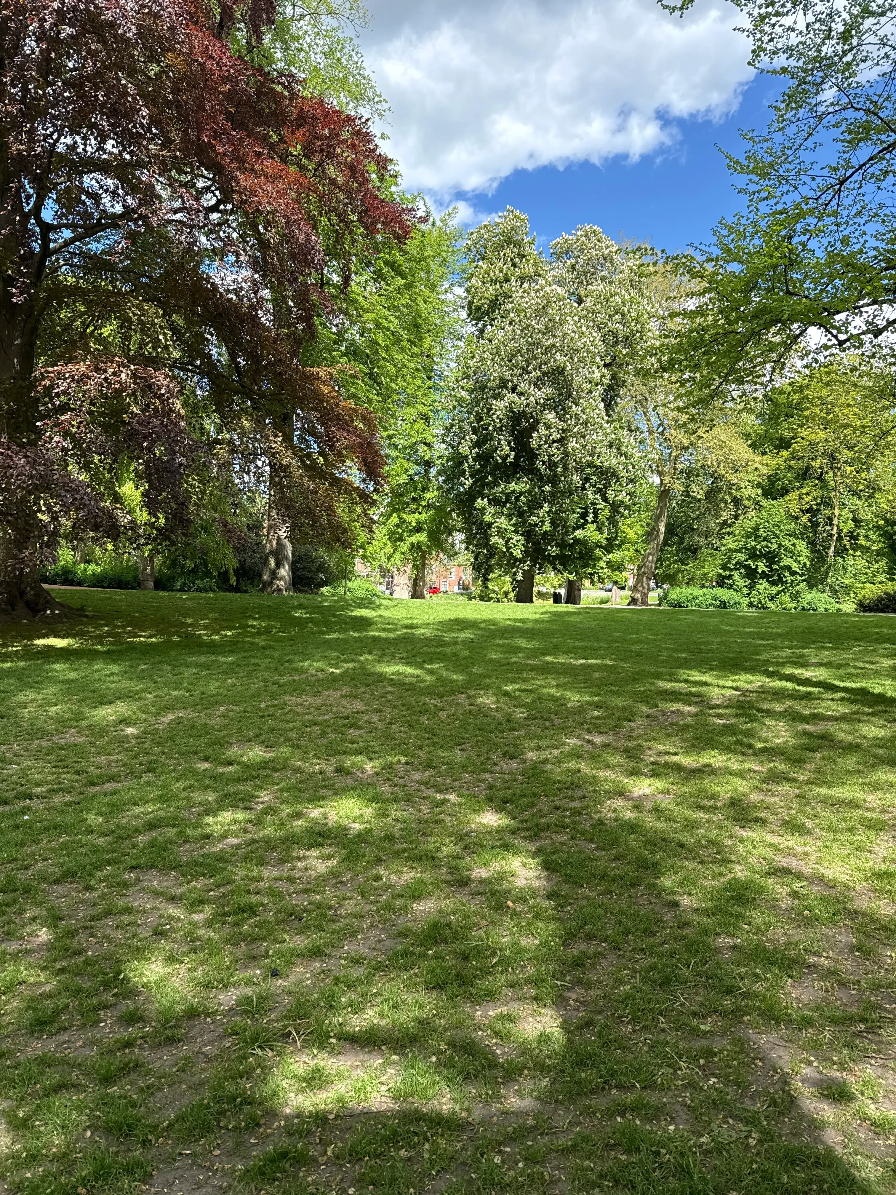 image-17