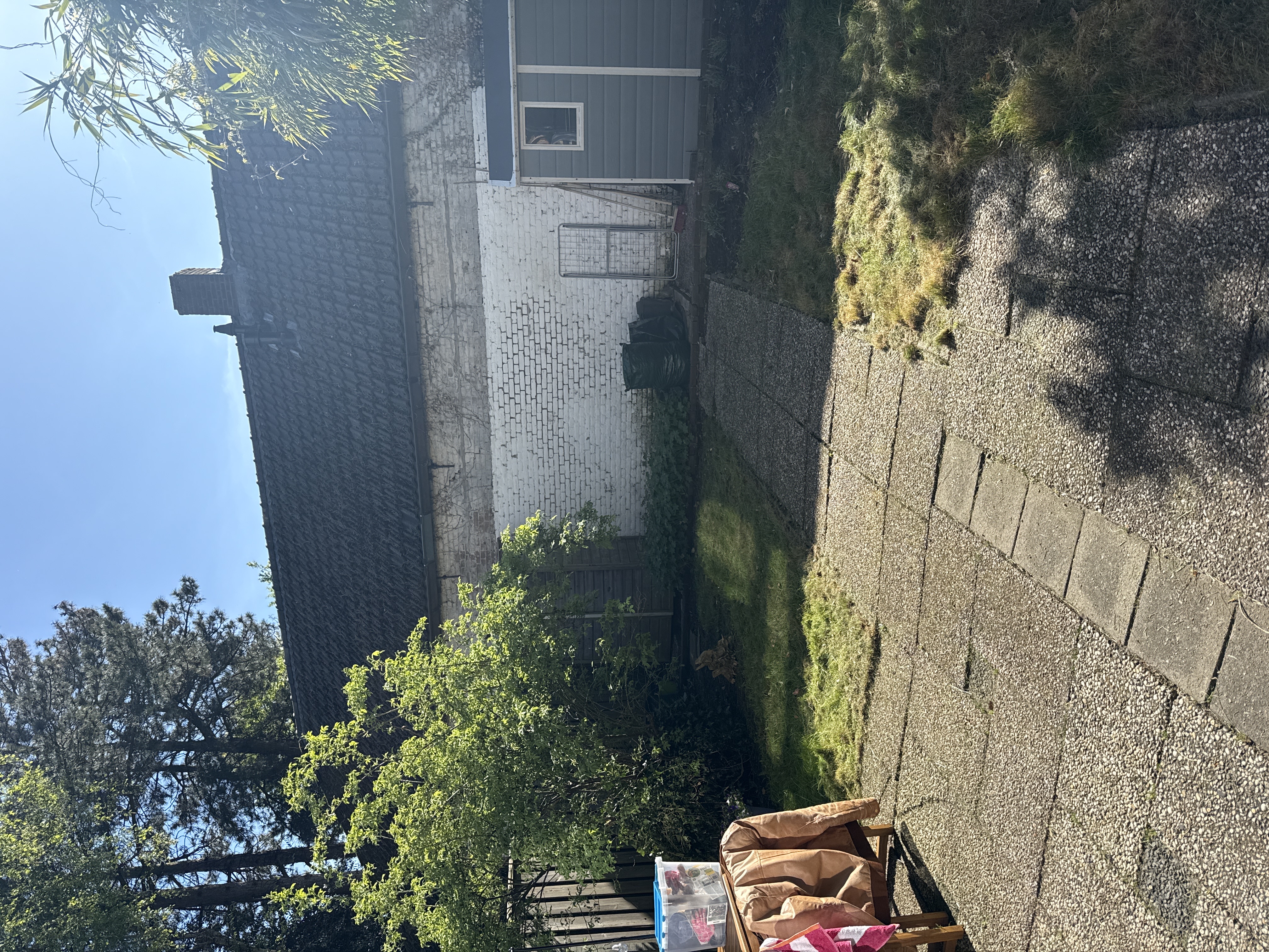 image-16