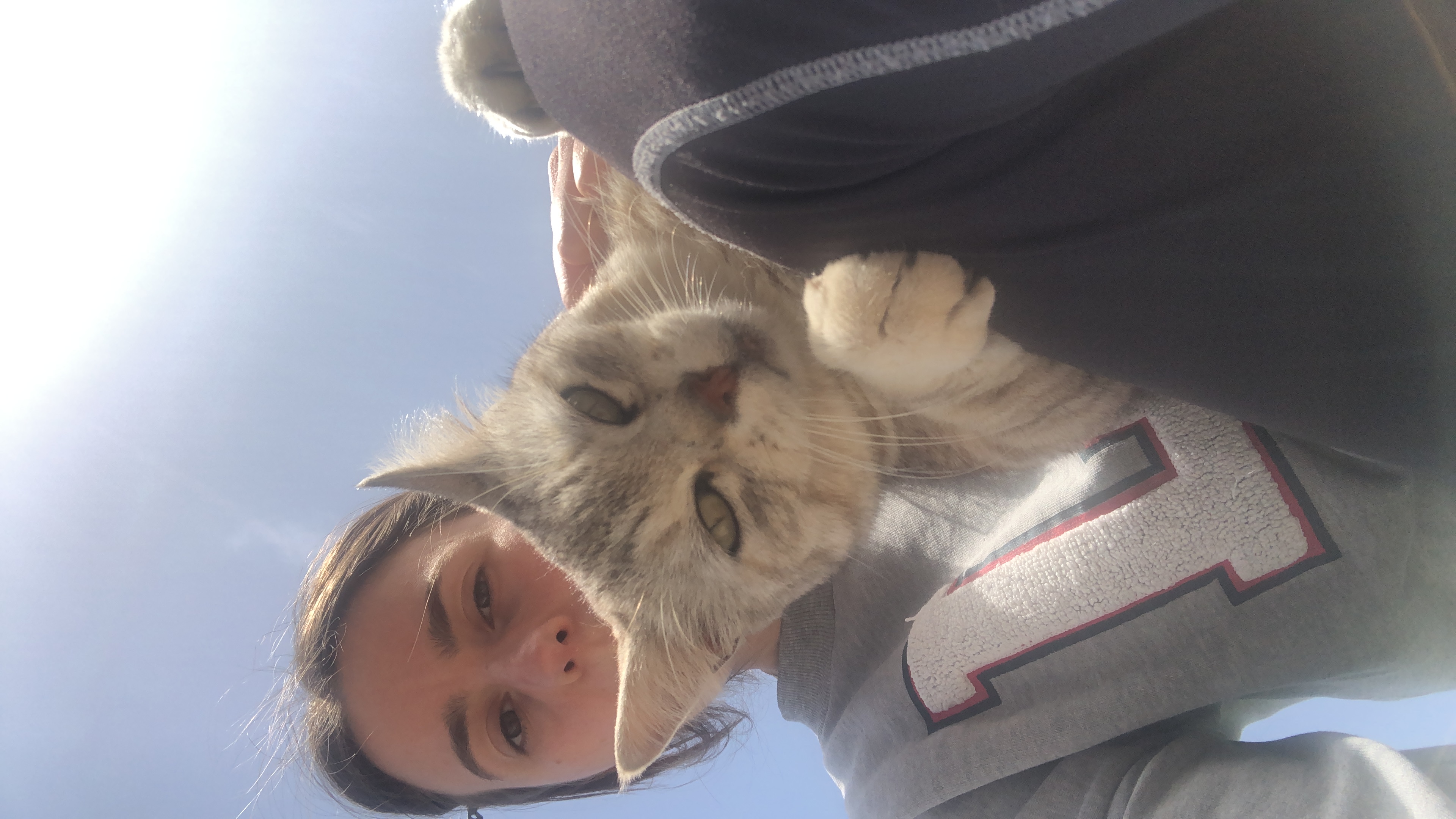 image-6