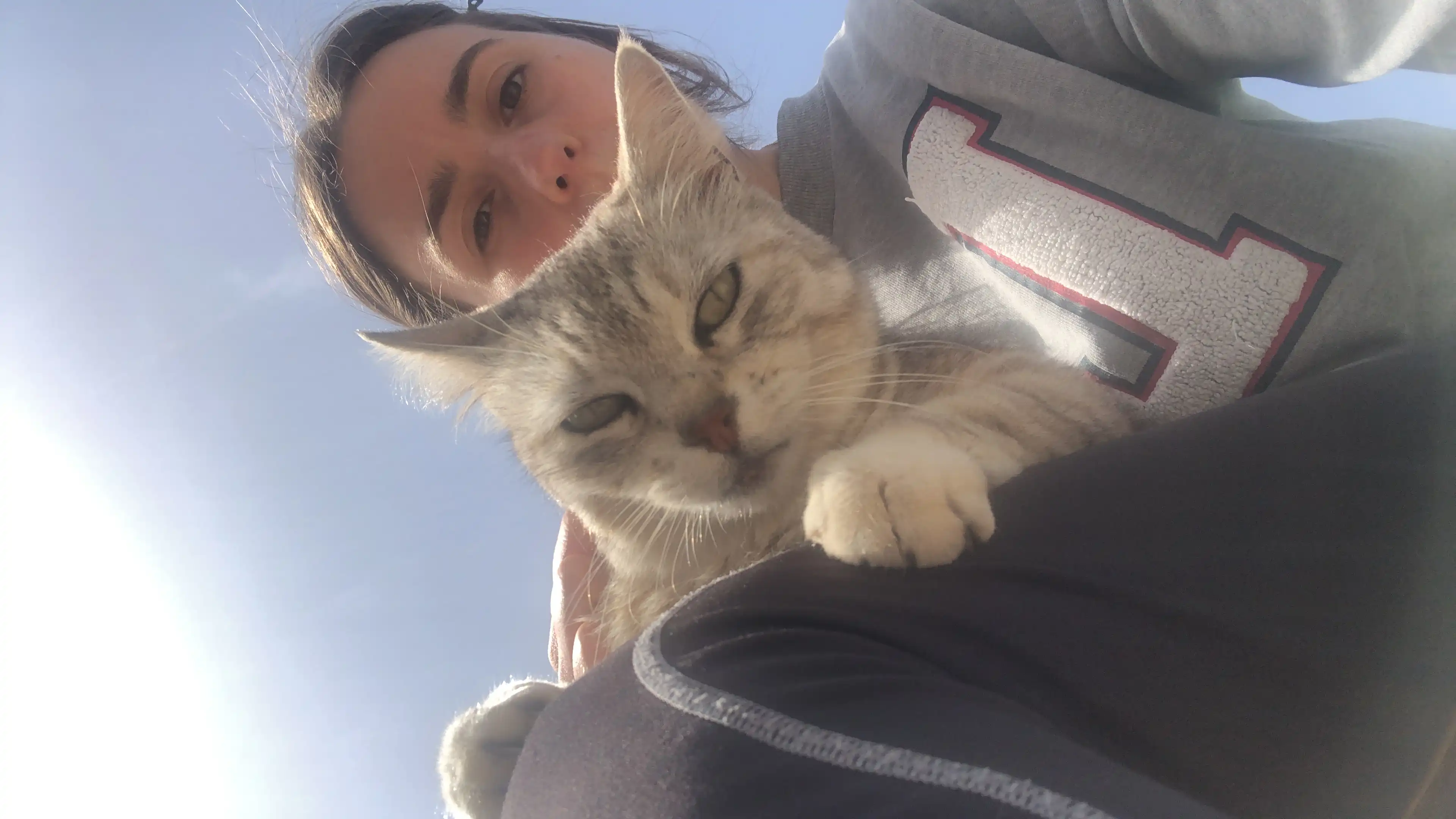 image-6