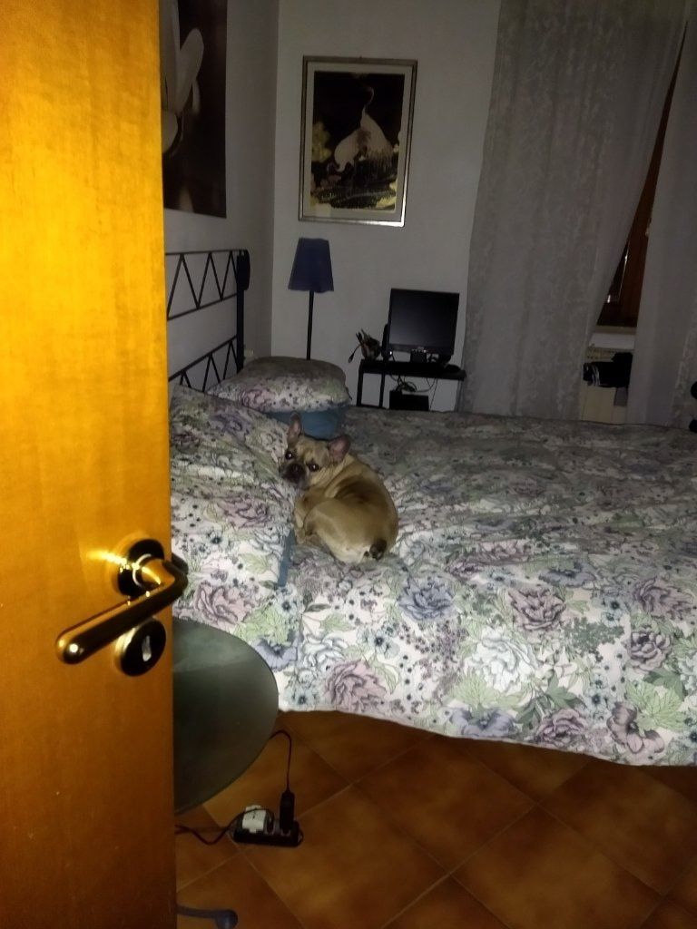 image-17