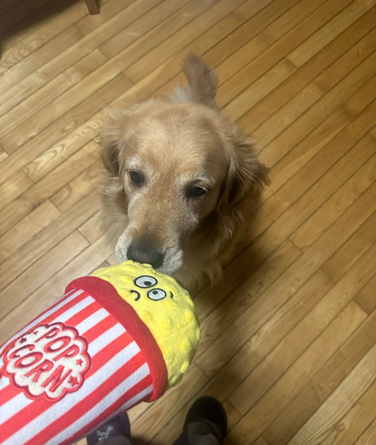 image-6