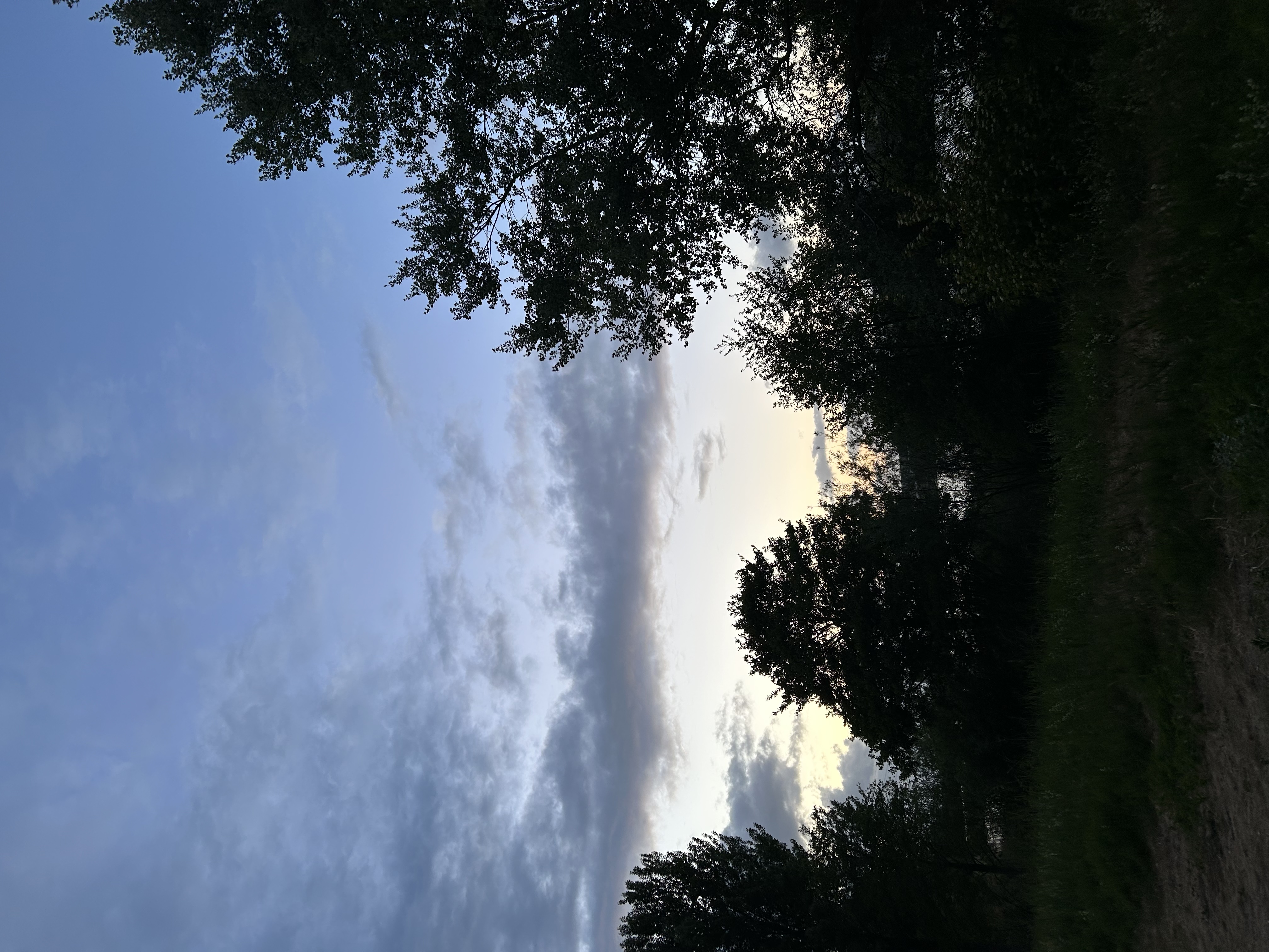 image-14