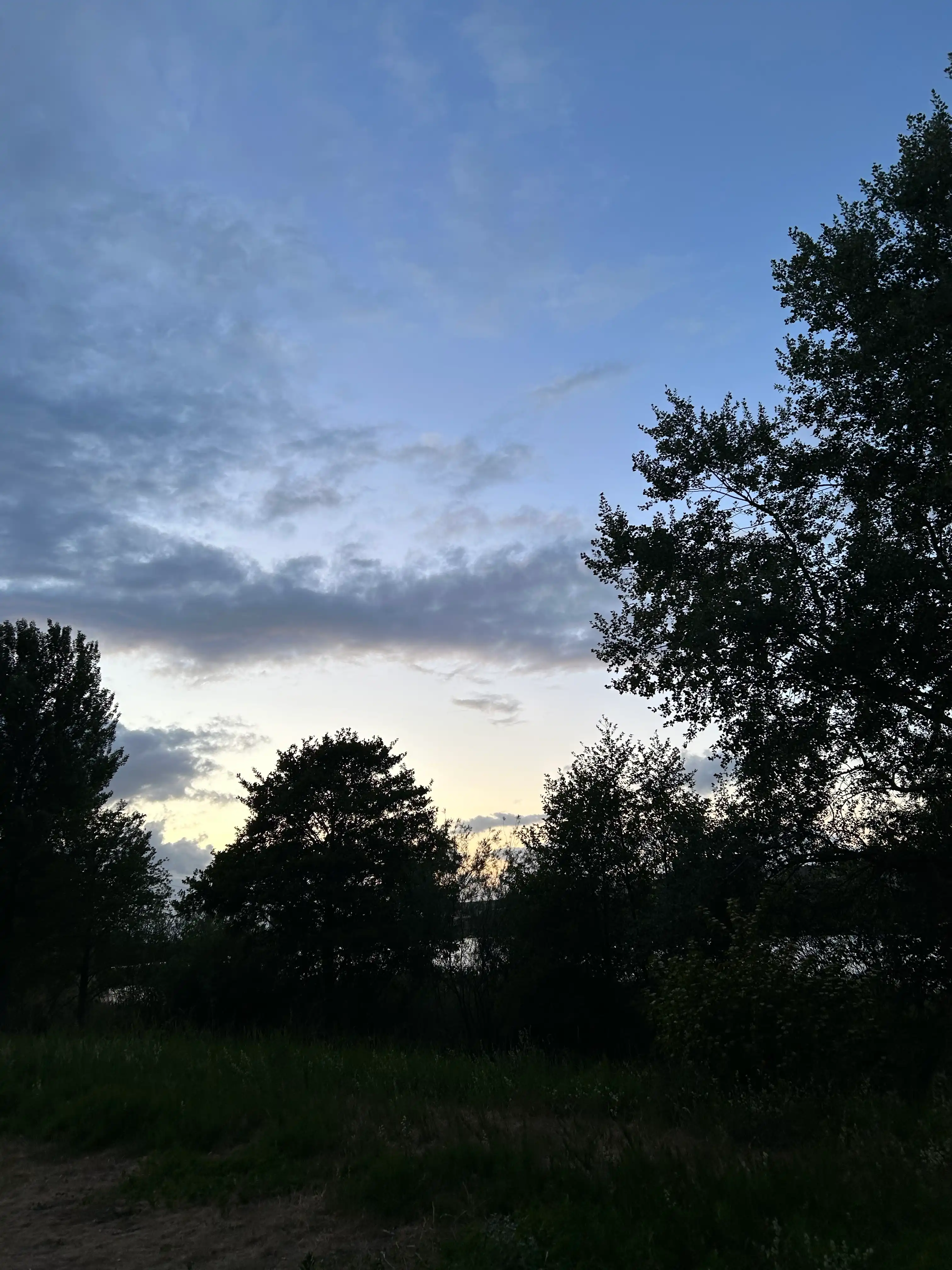 image-14