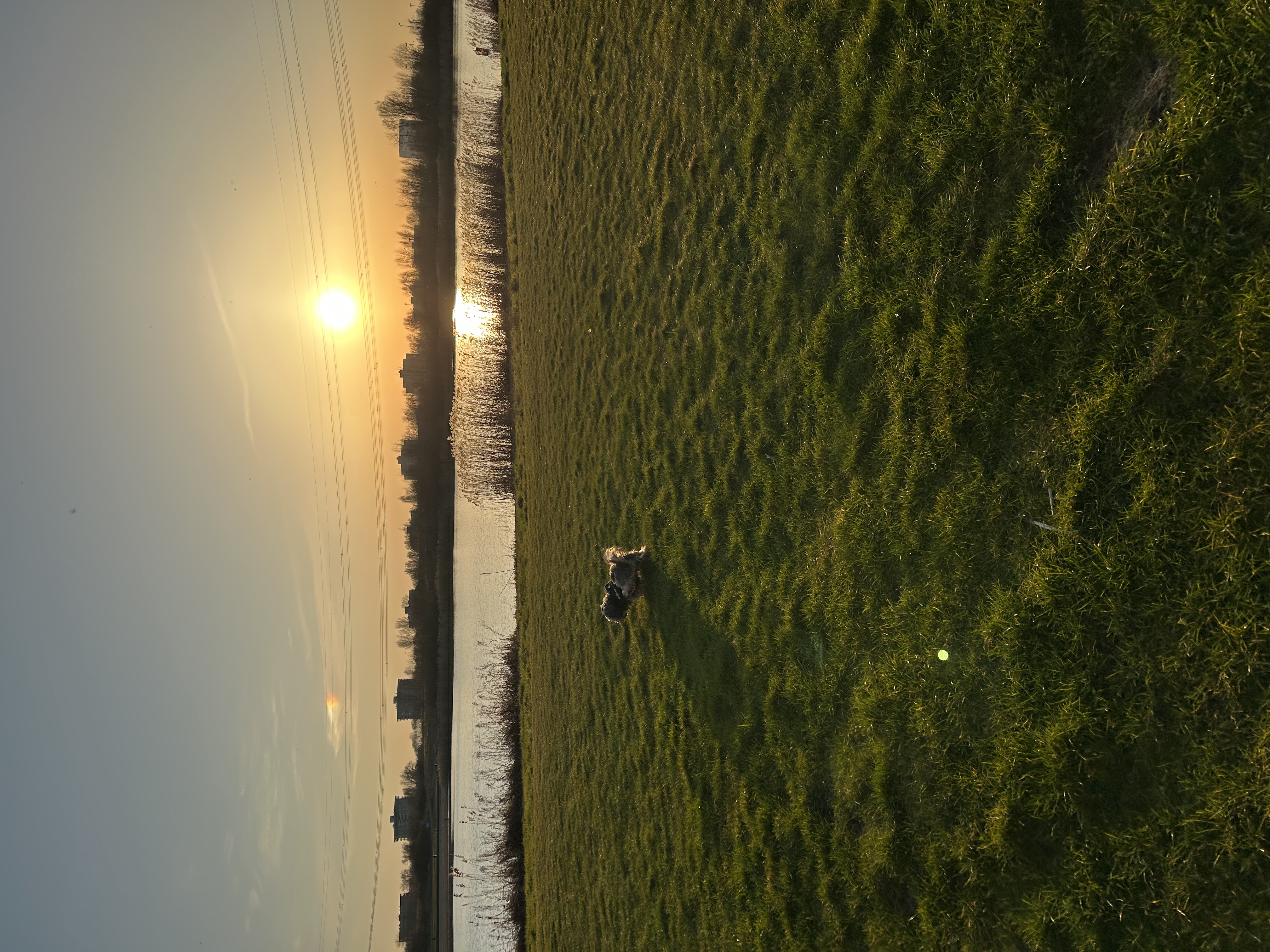 image-15