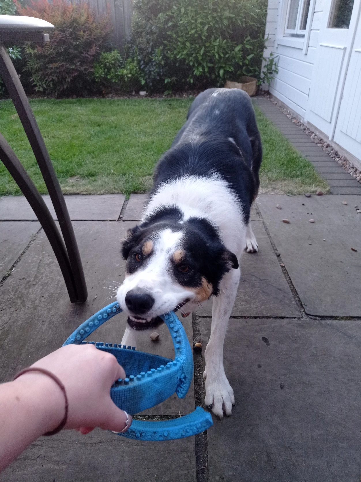 image-6