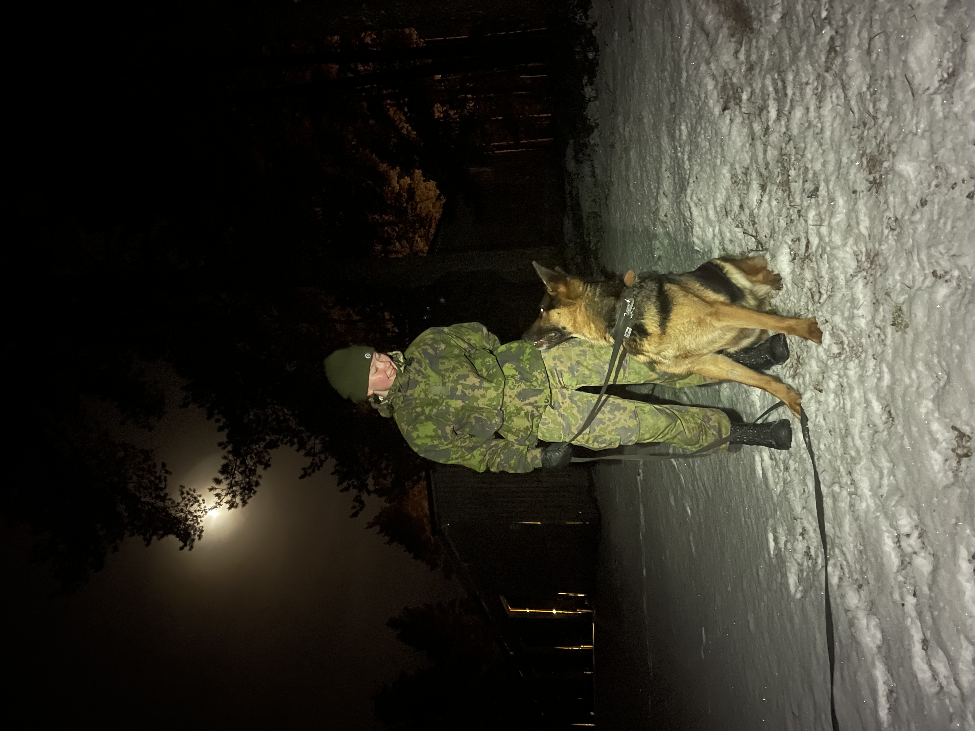 image-7