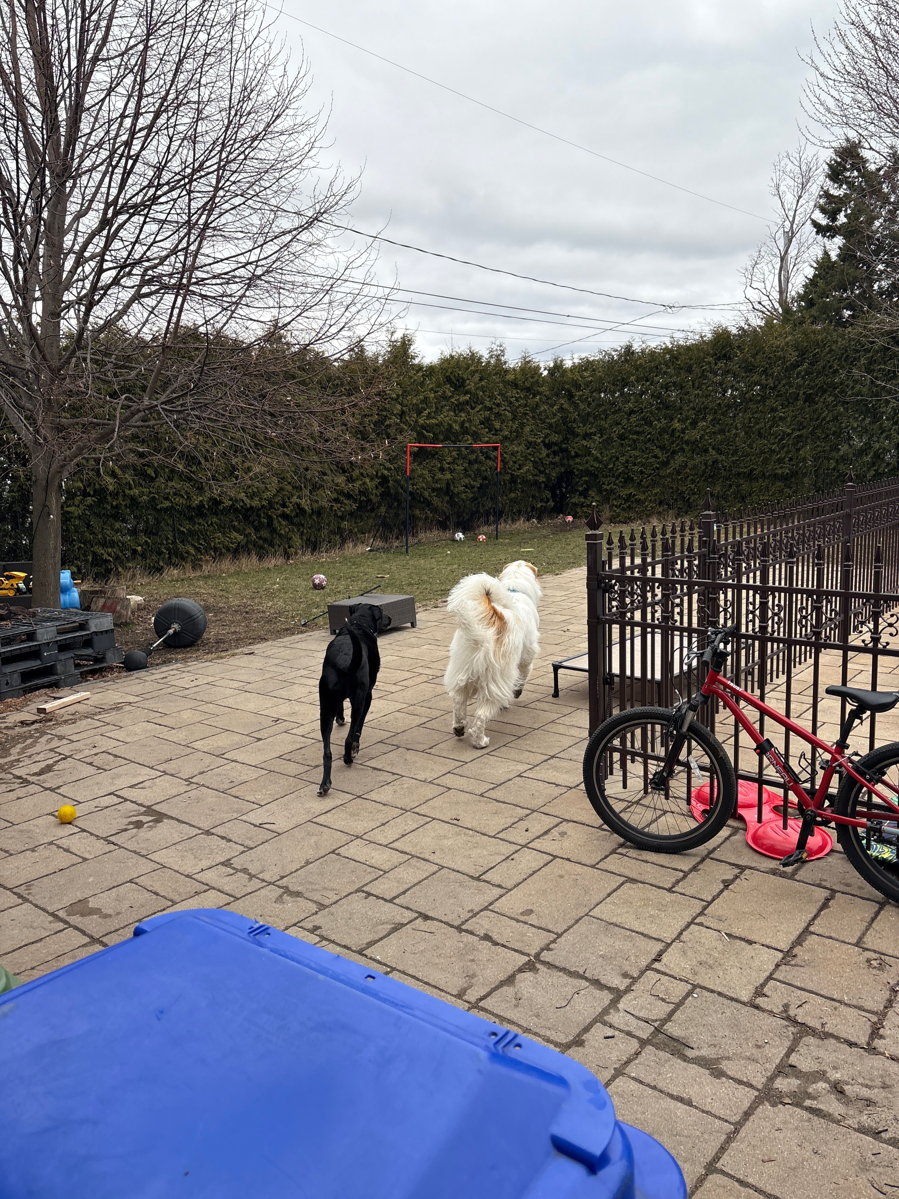image-16