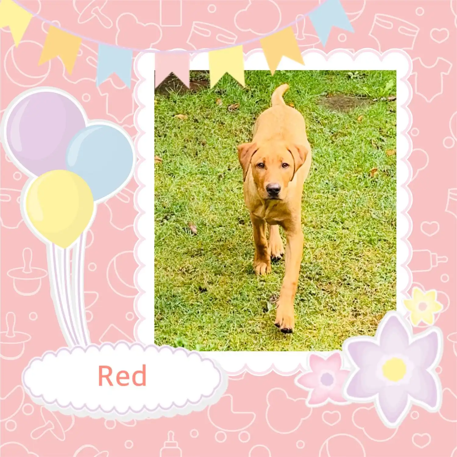 image-20