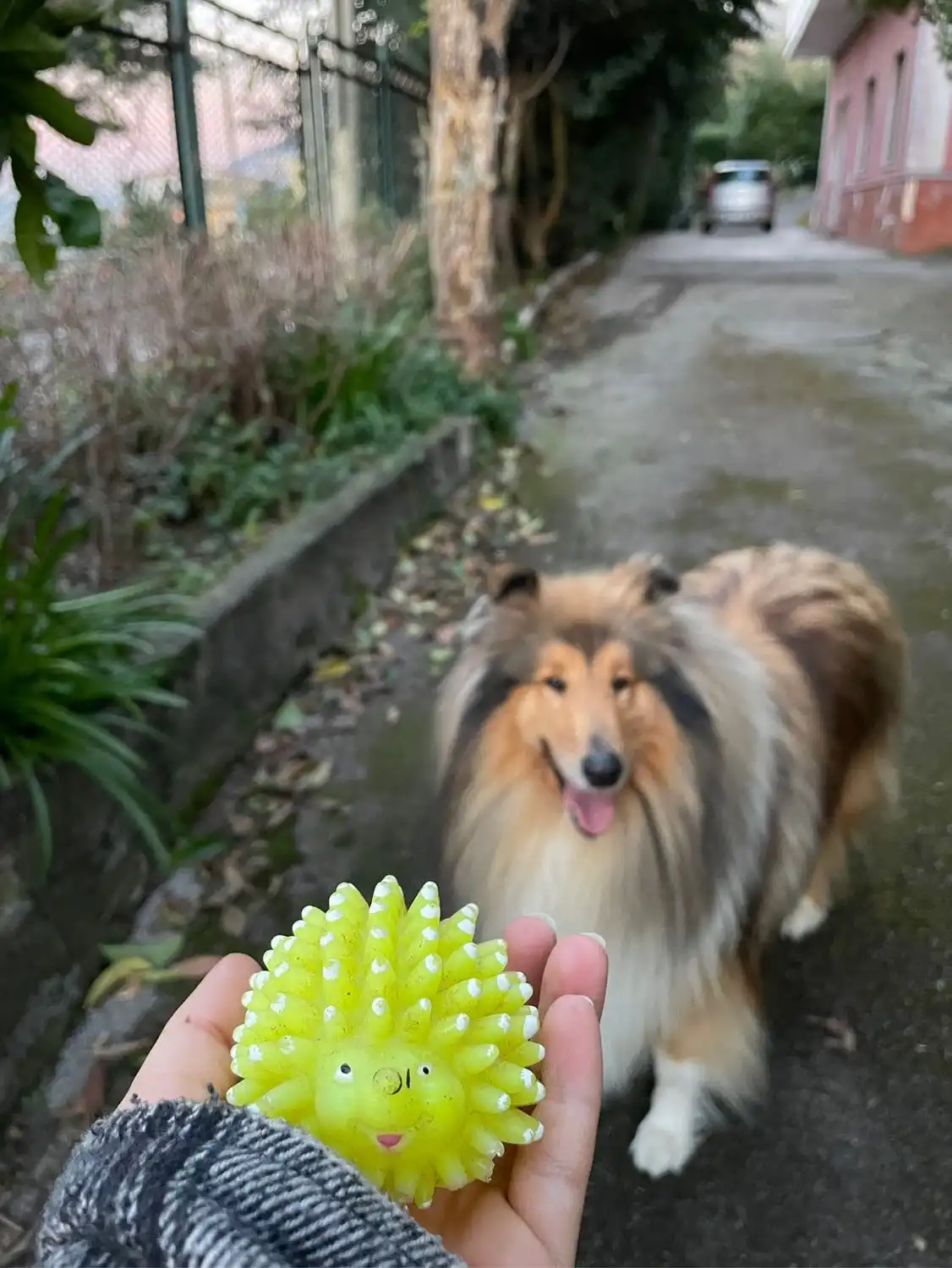 image-8