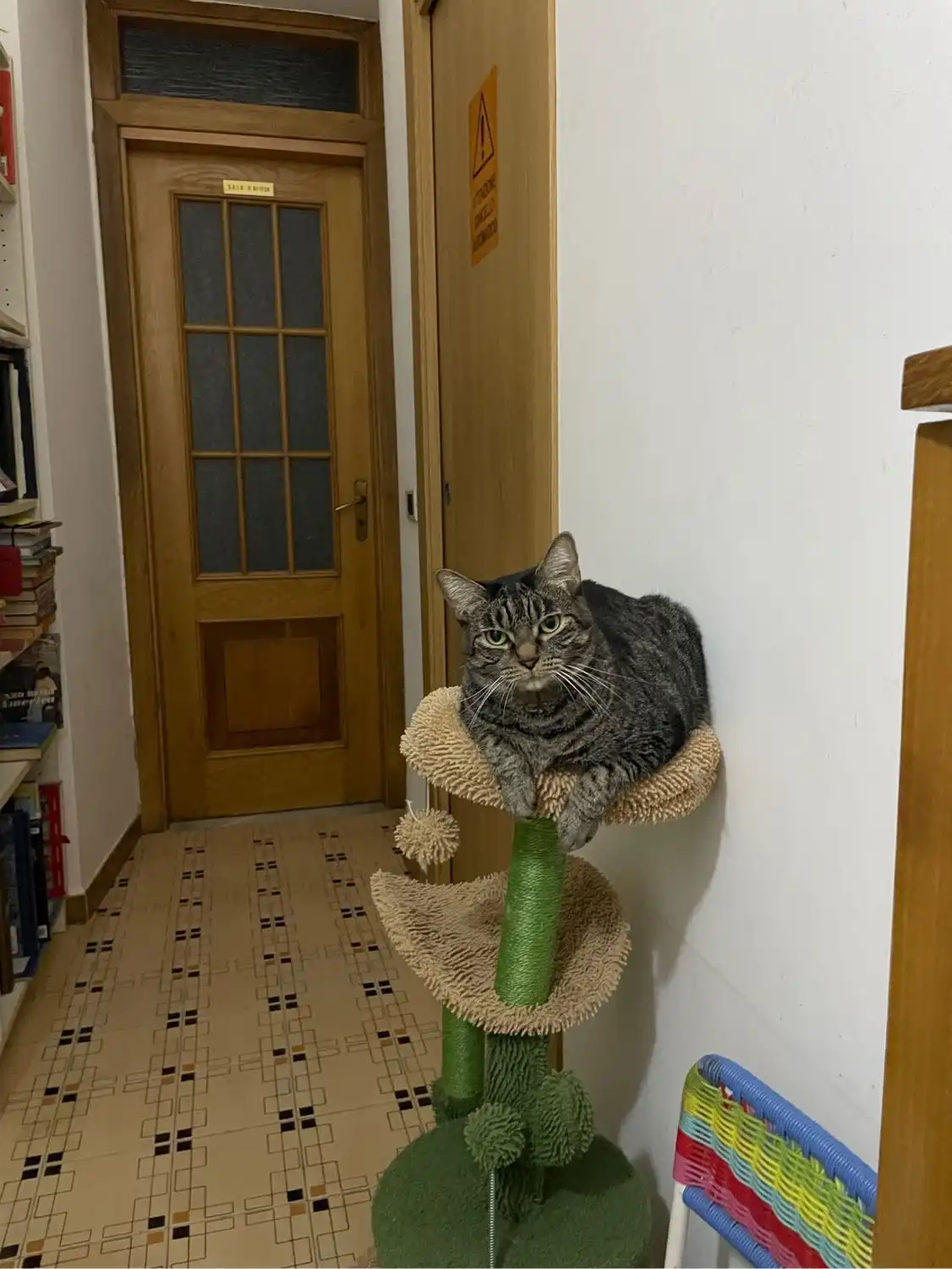 image-9