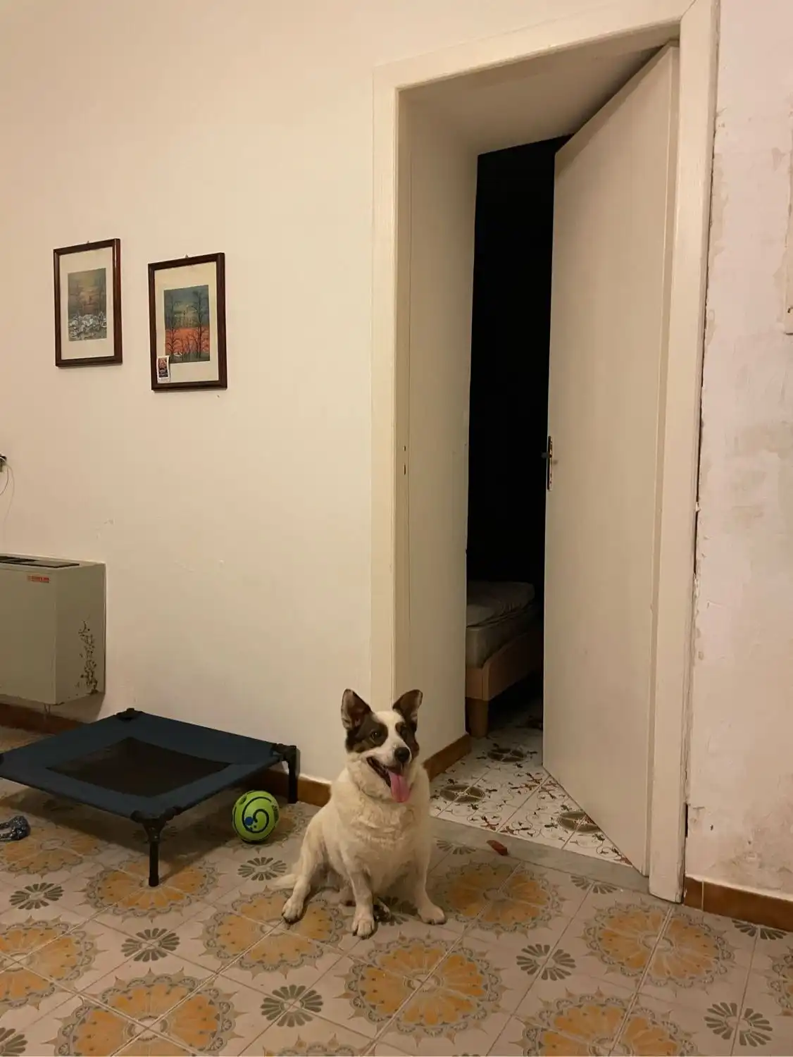 image-5