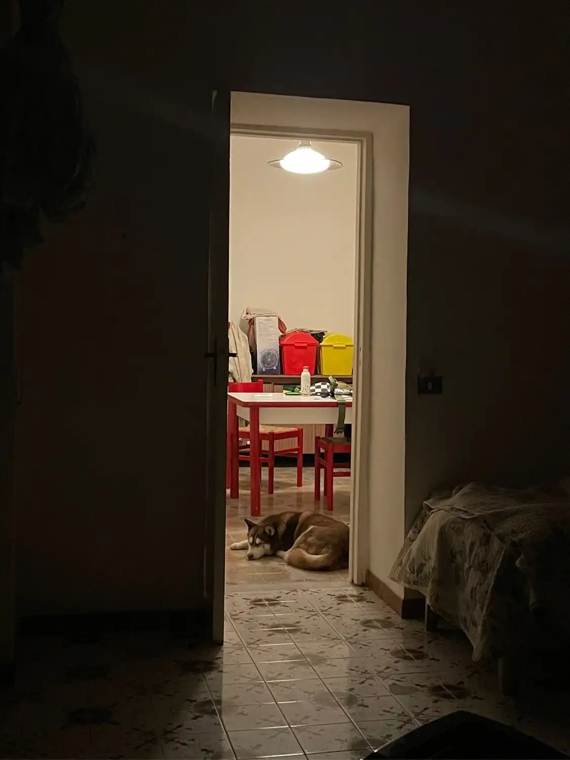 image-11
