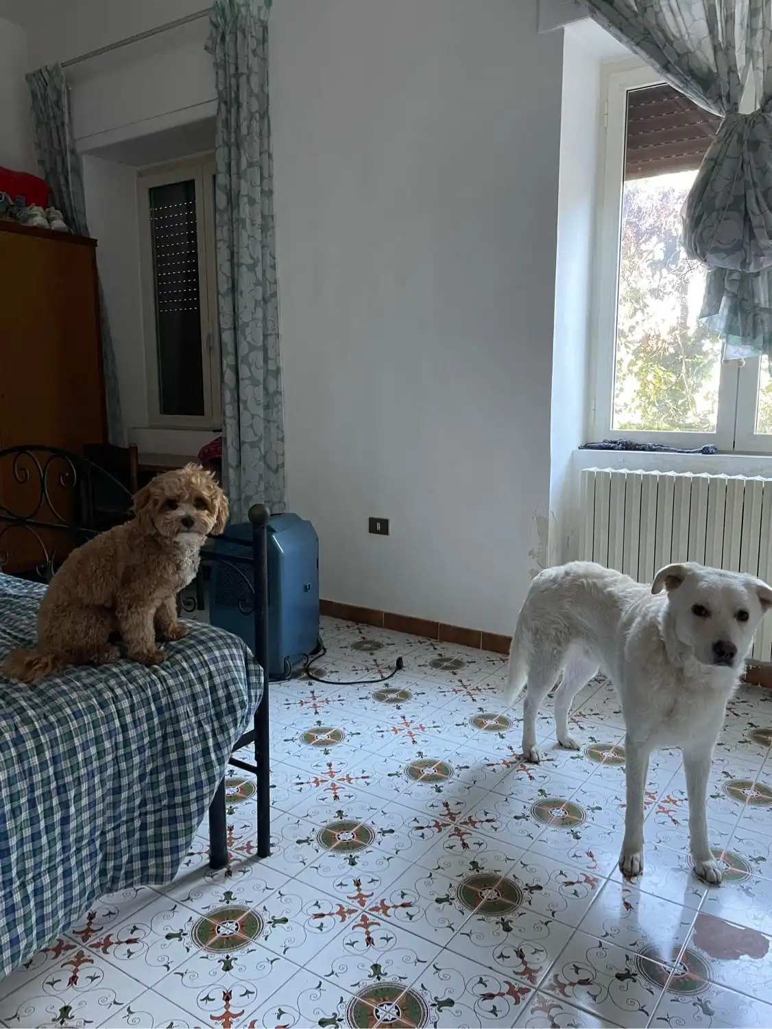 image-17
