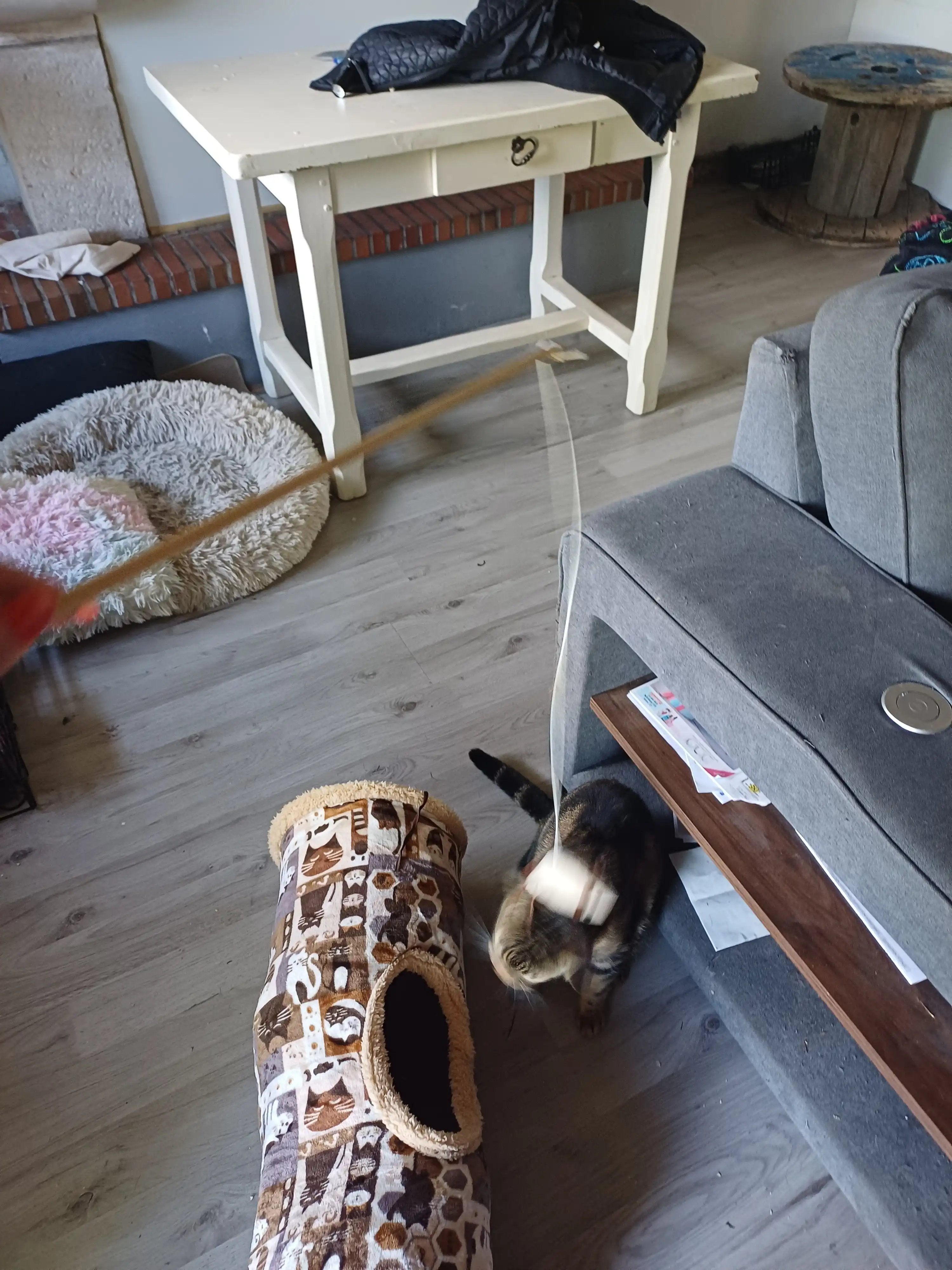 image-12