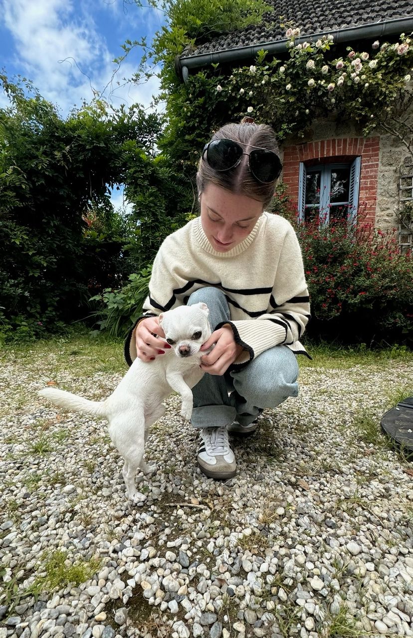 image-4