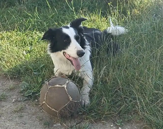 image-6