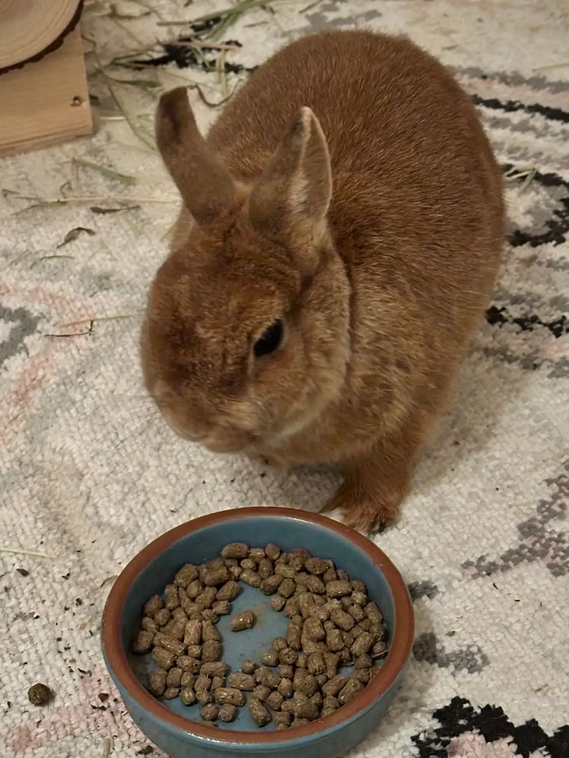 image-15