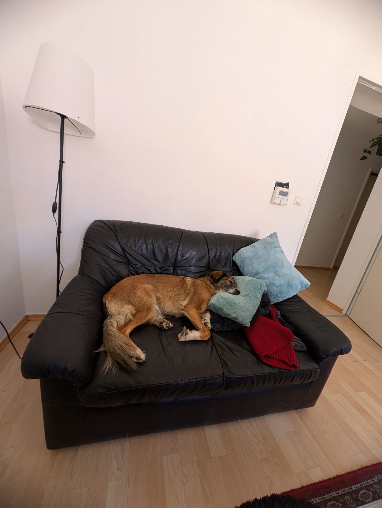 image-13
