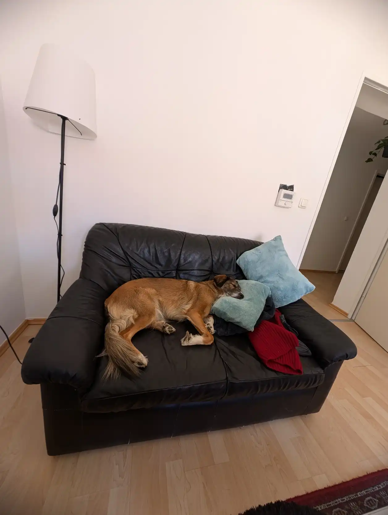 image-13