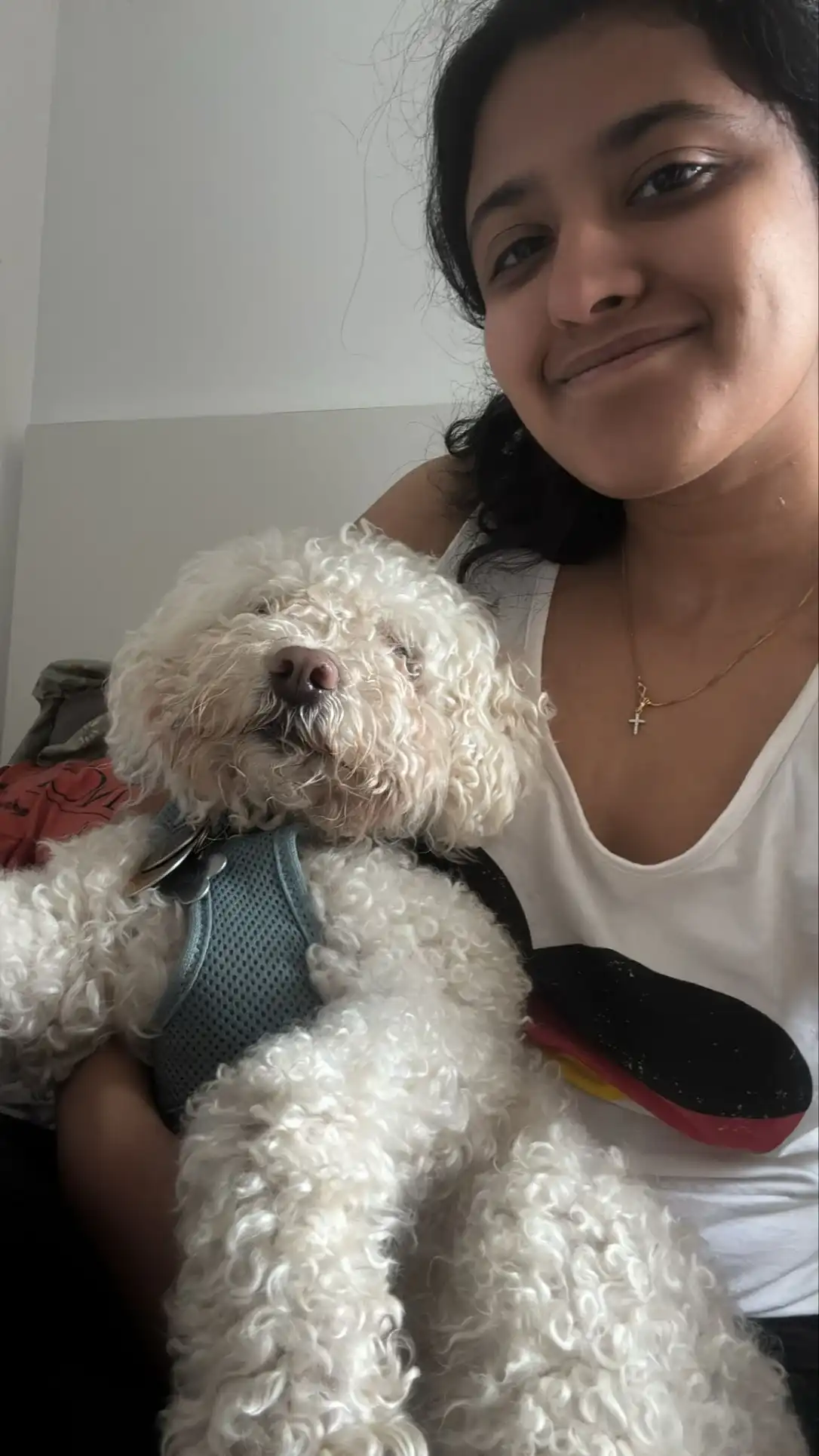 image-6