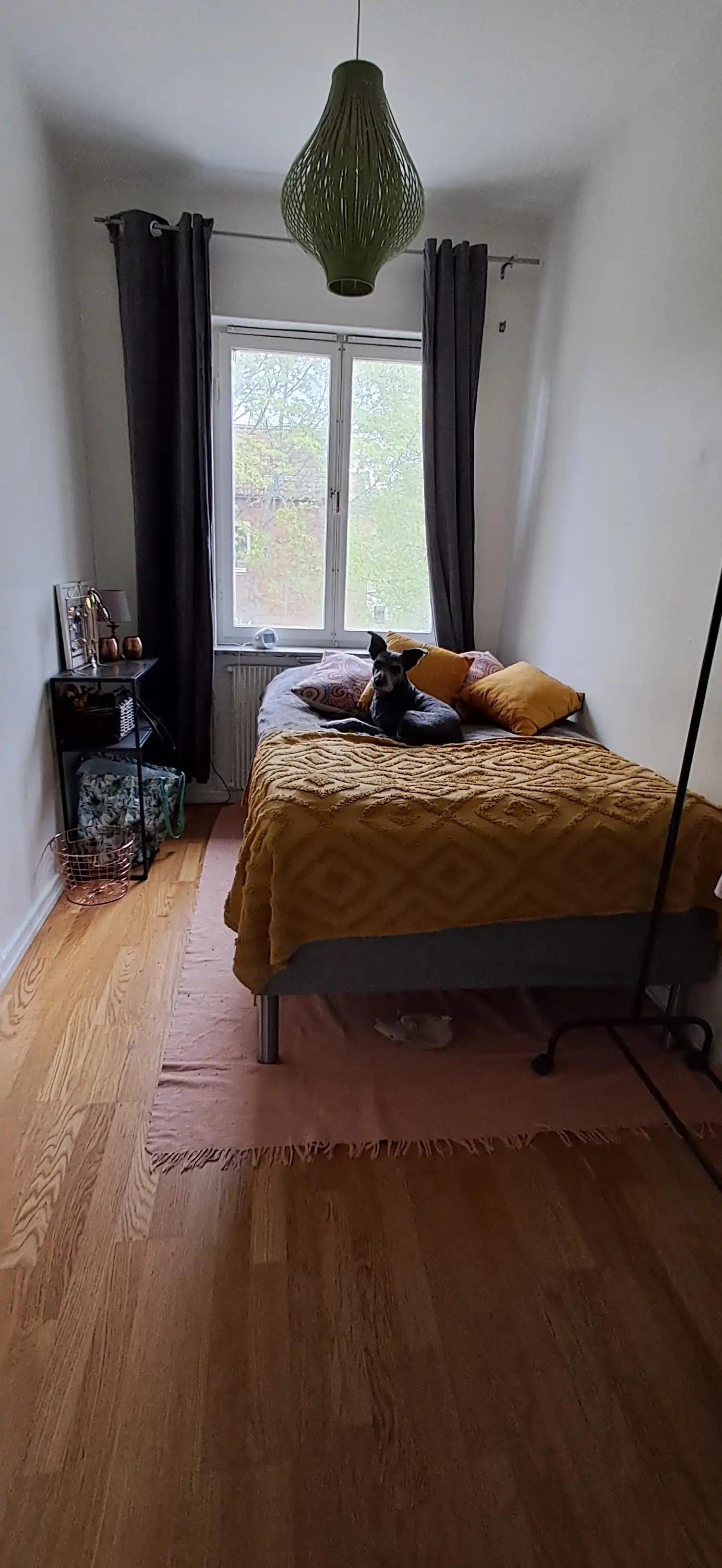 image-17