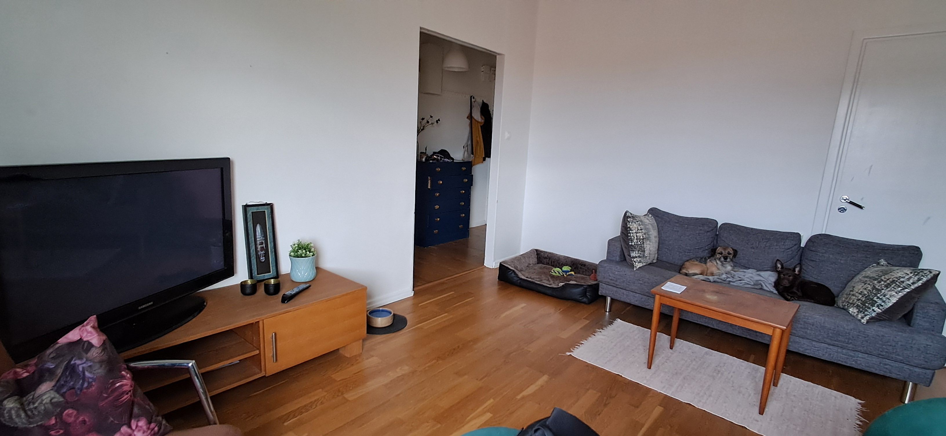 image-19