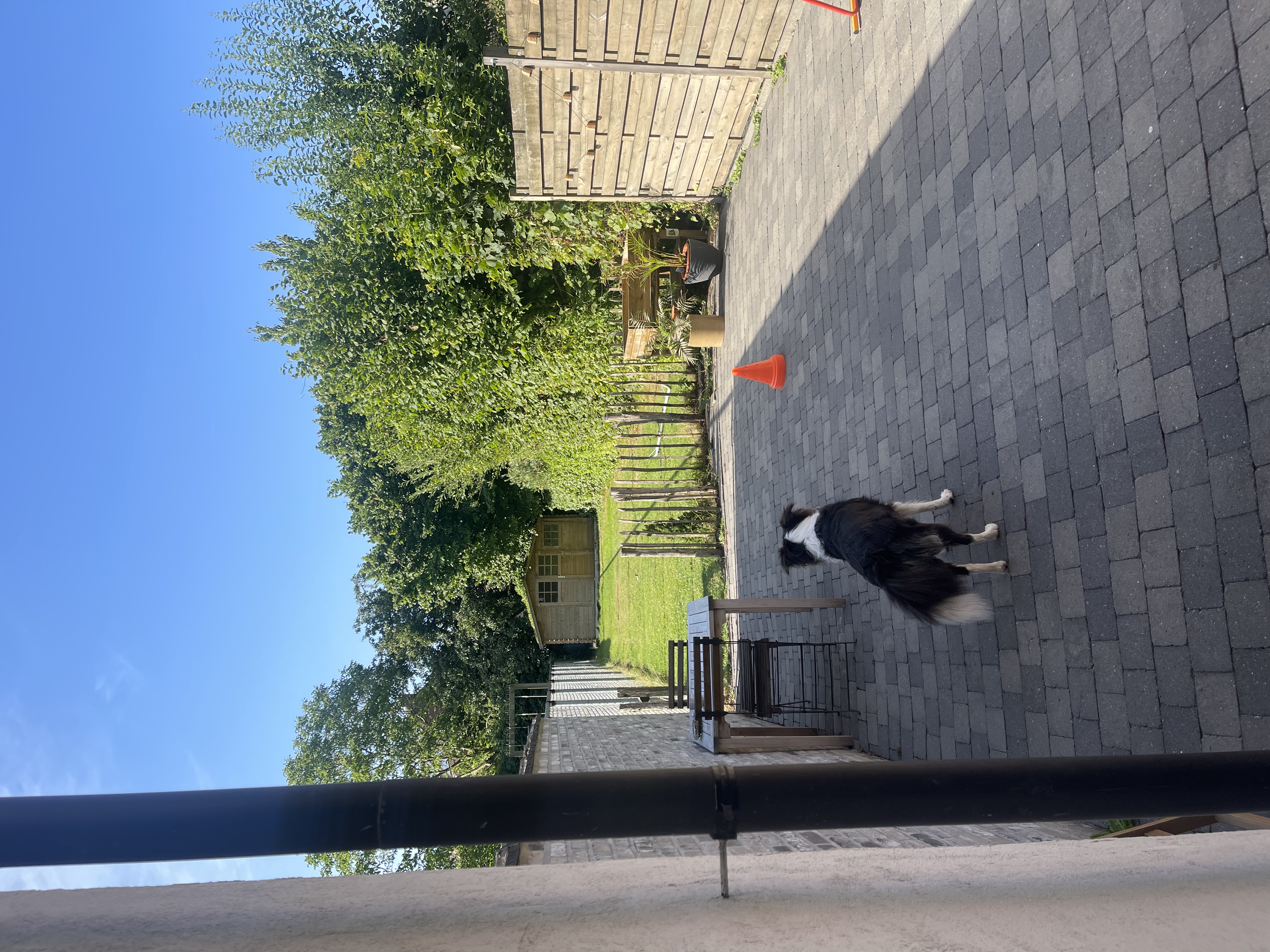 image-22