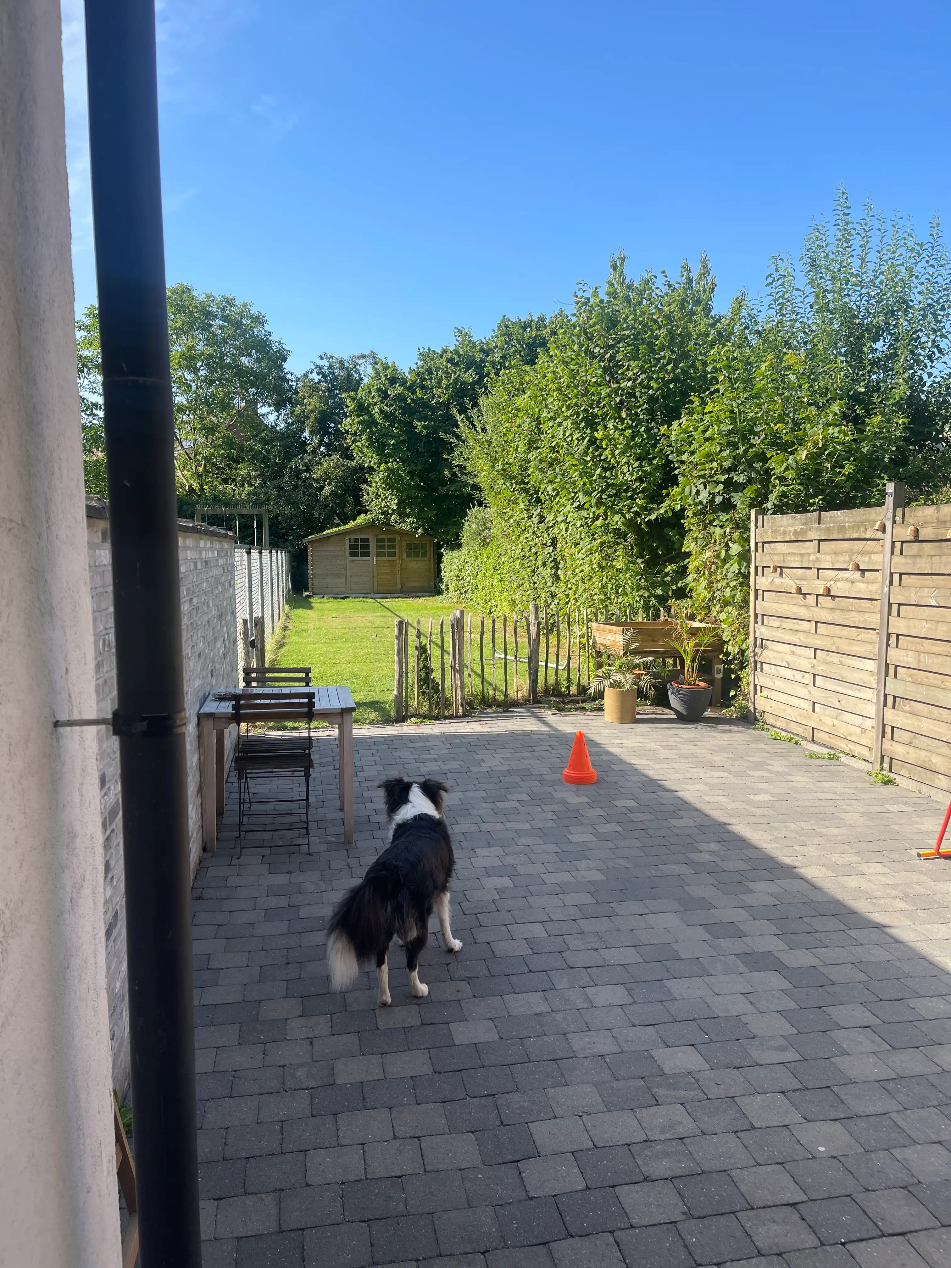 image-22