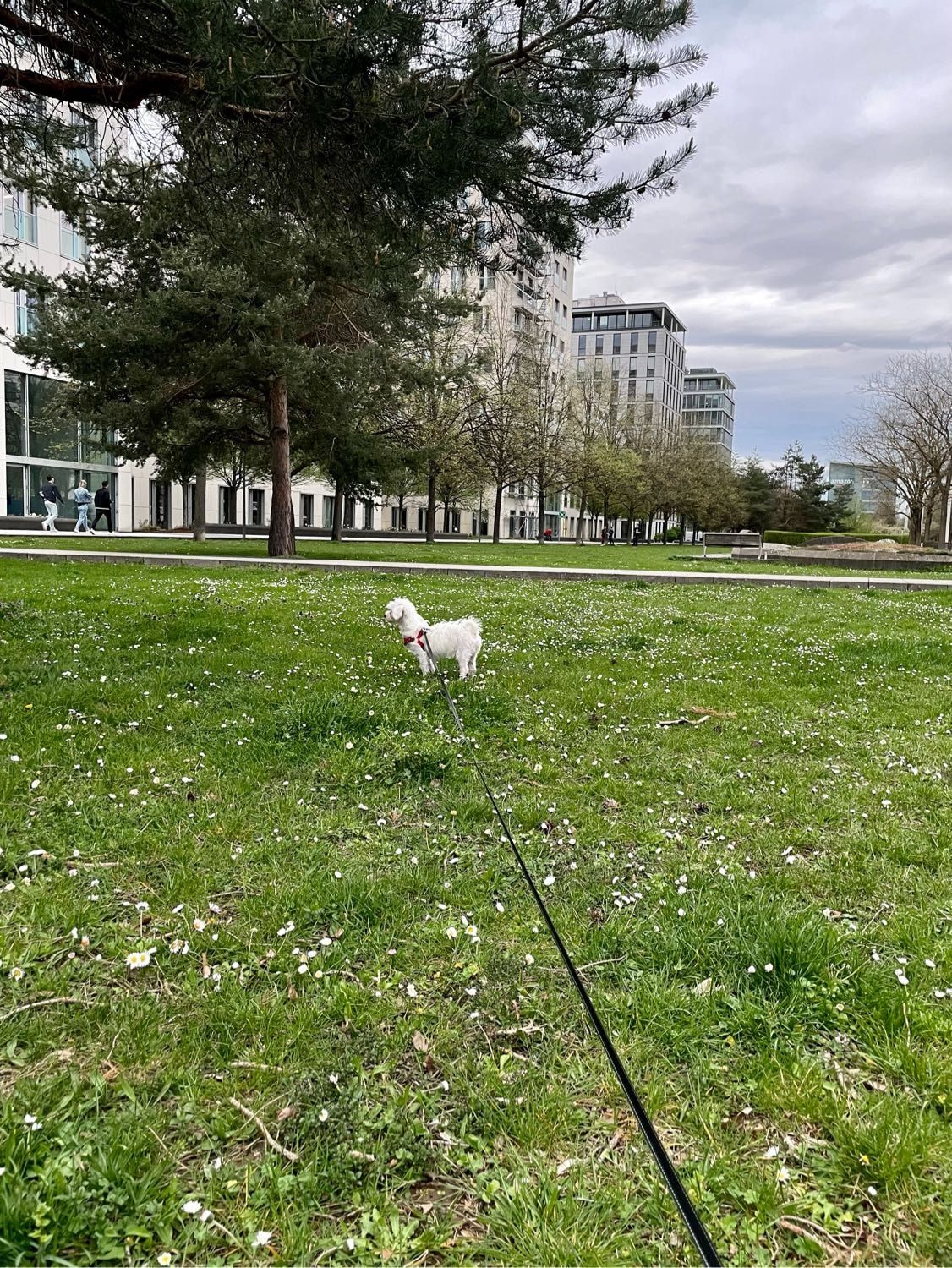 image-15