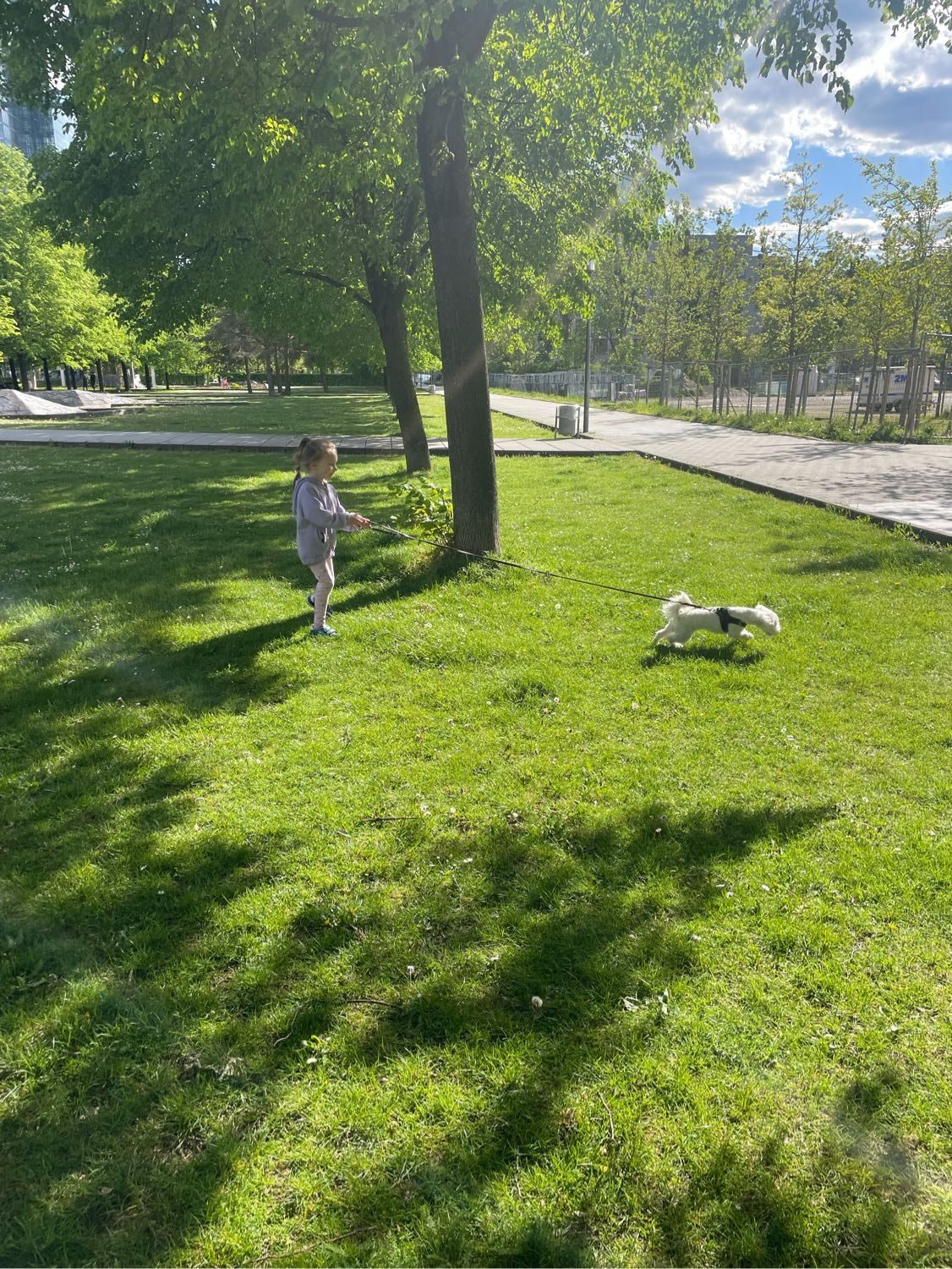 image-19