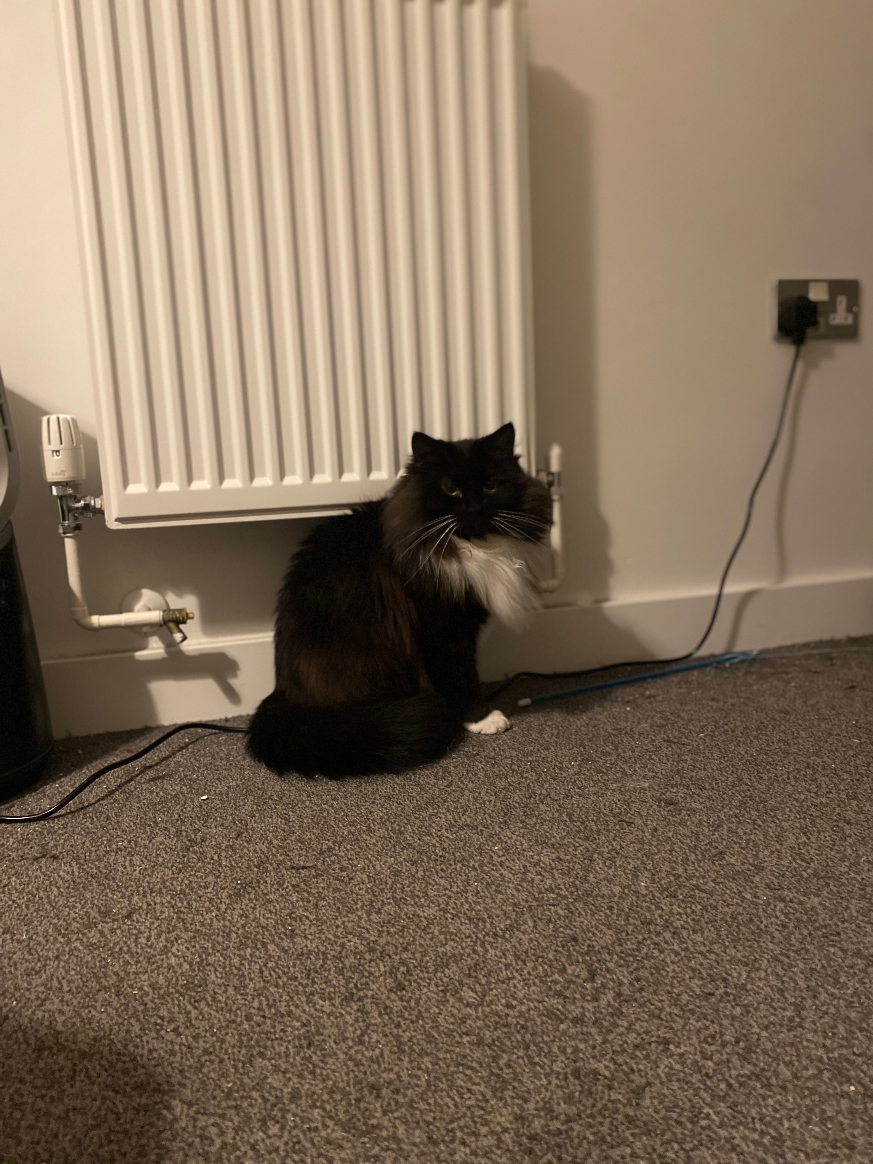 image-12