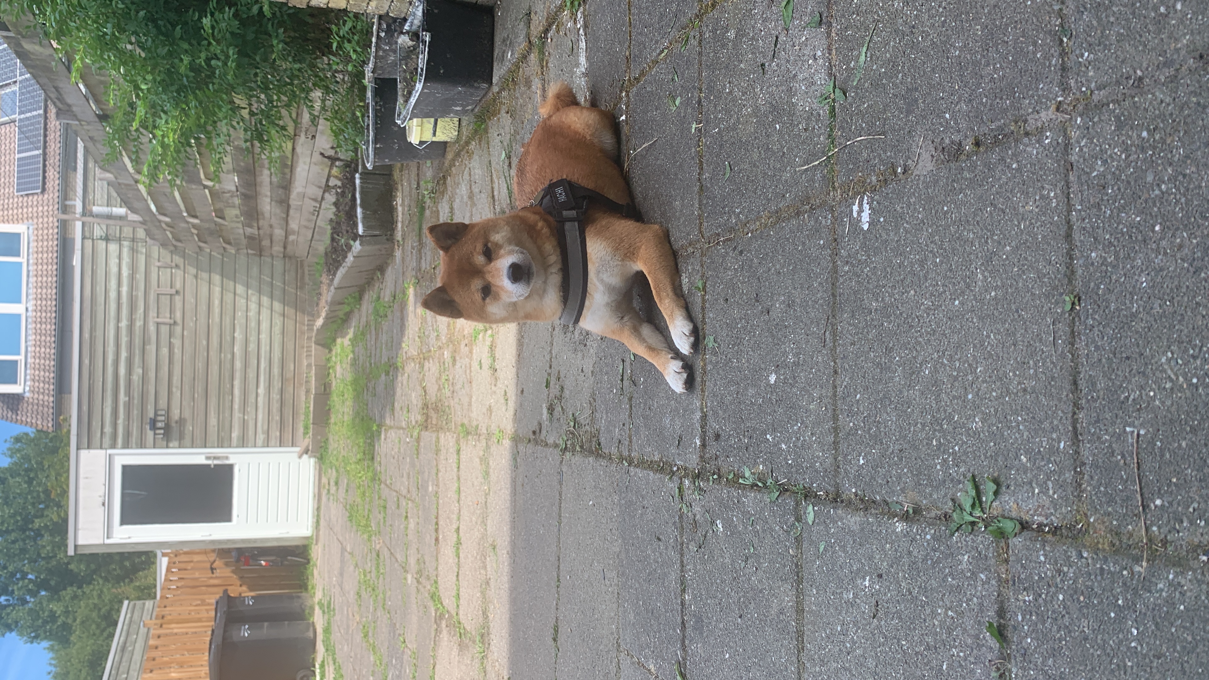 image-38