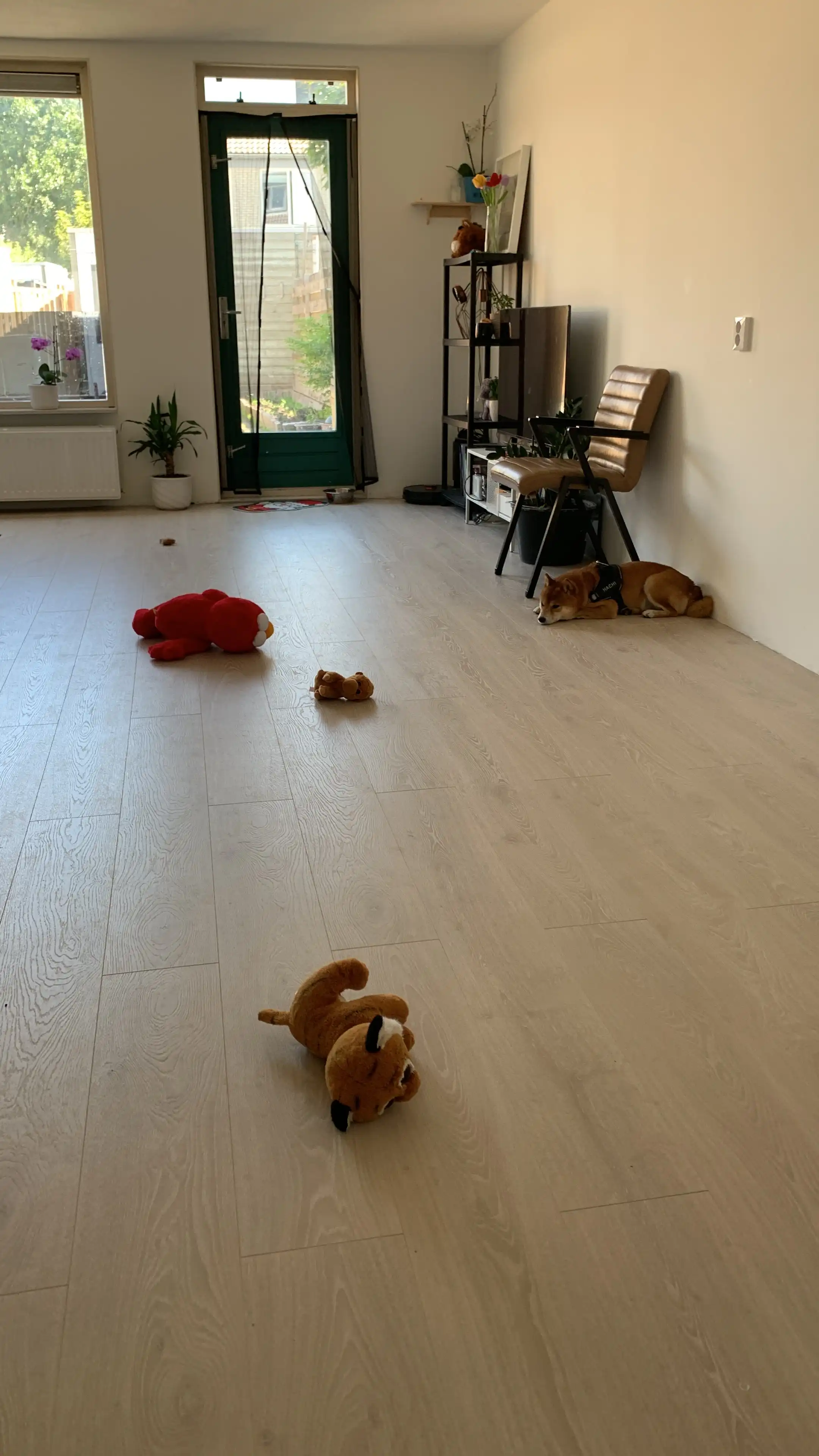 image-24