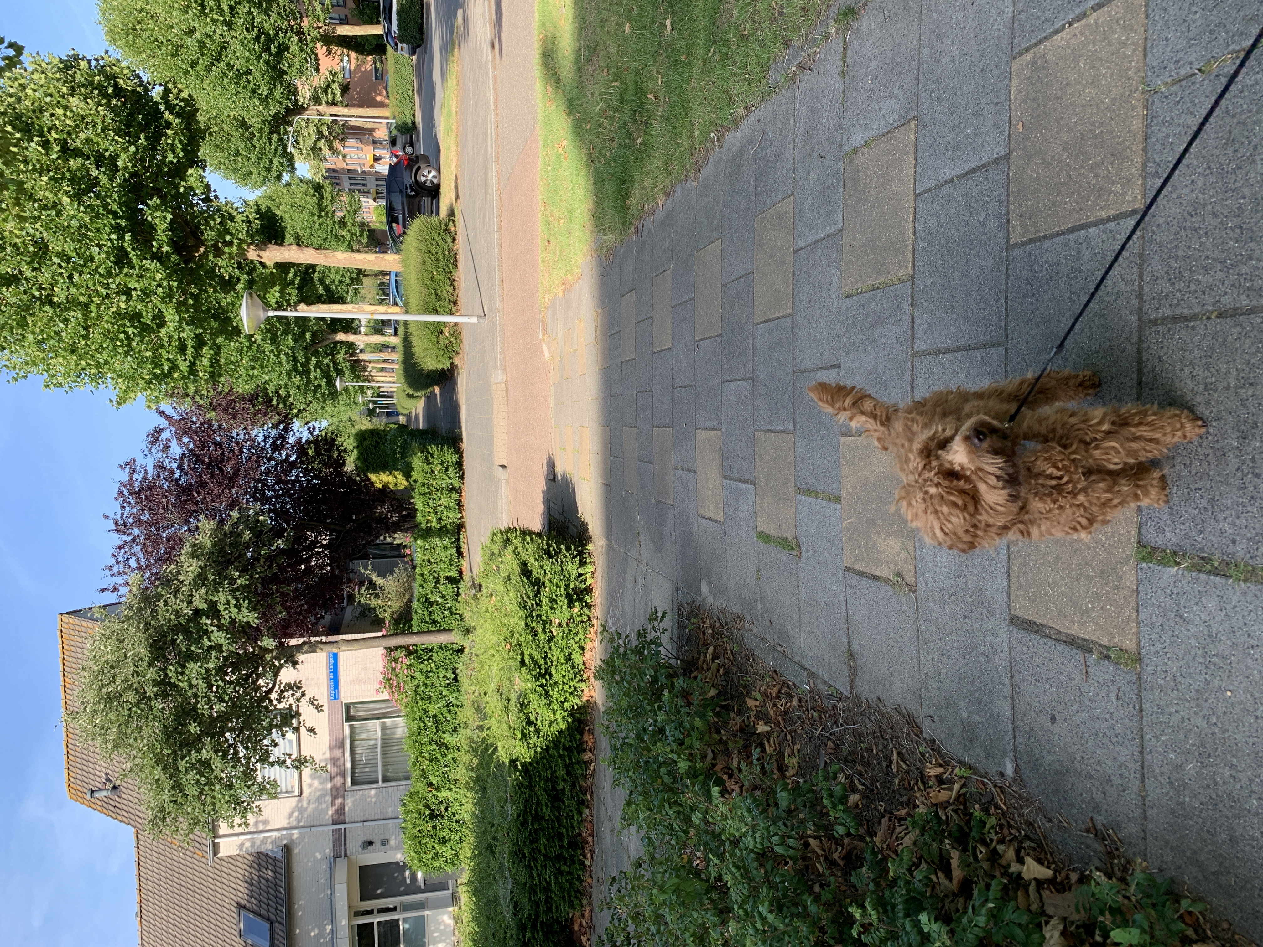 image-17