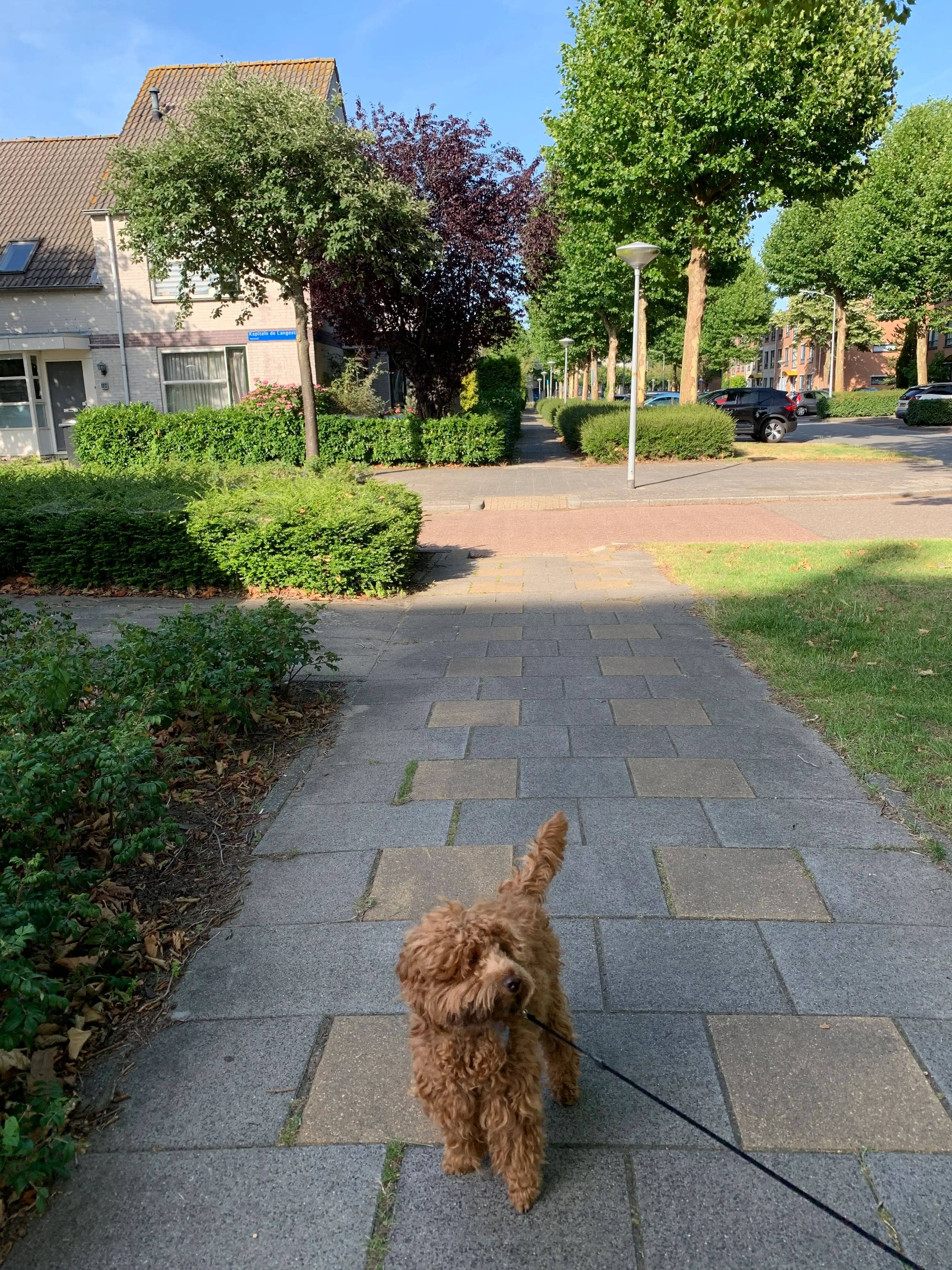 image-17