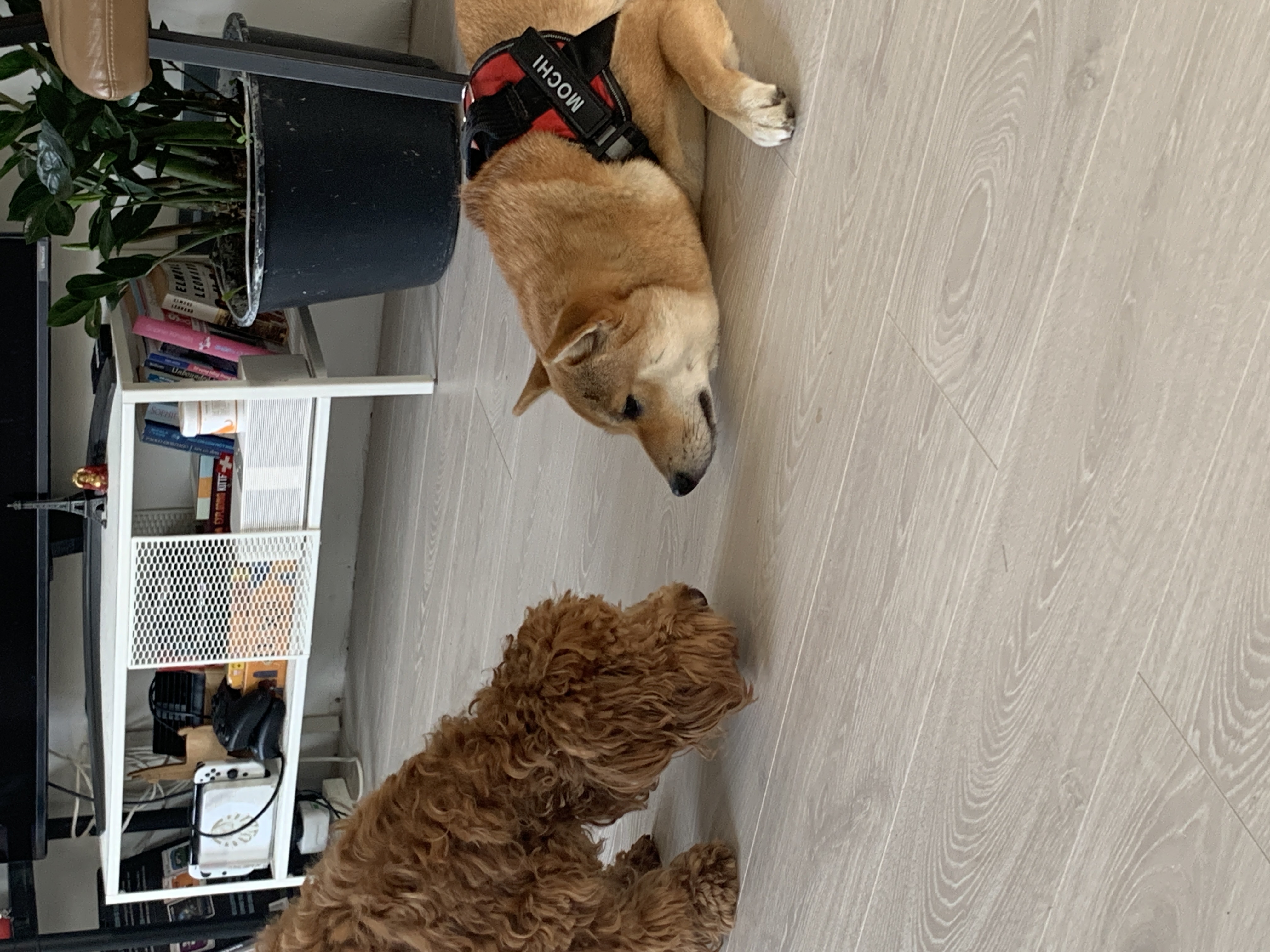 image-37