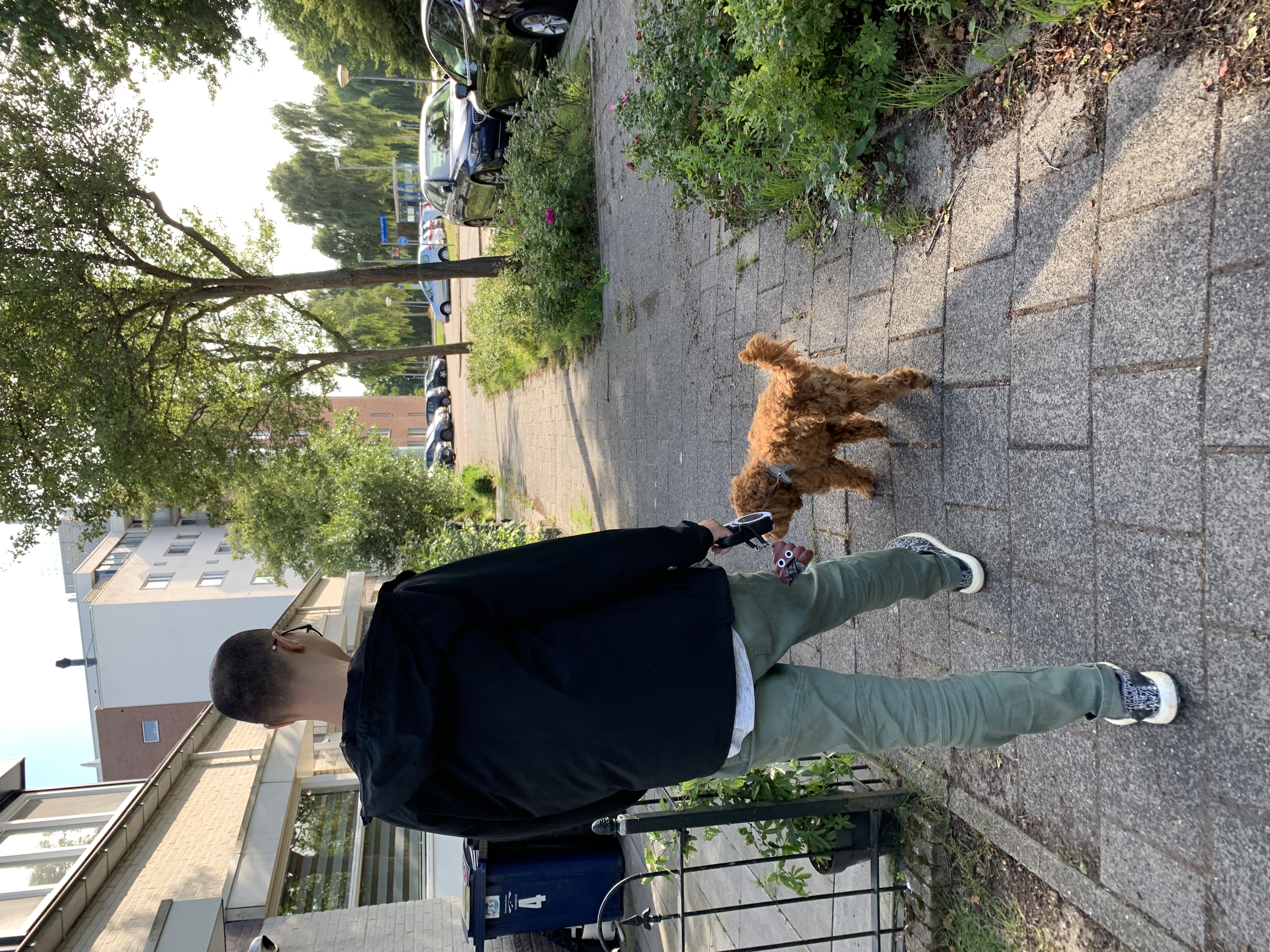 image-18