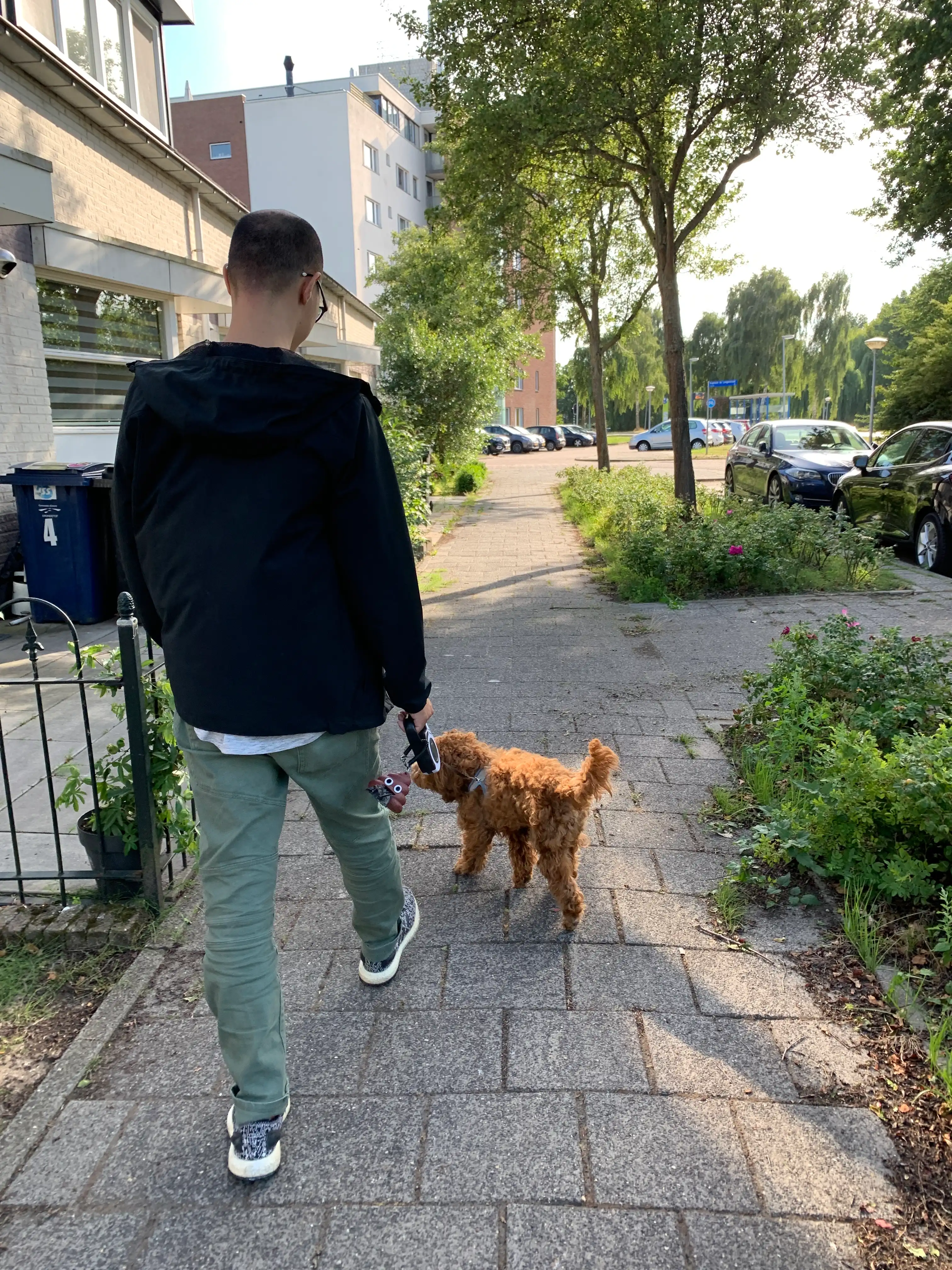 image-18