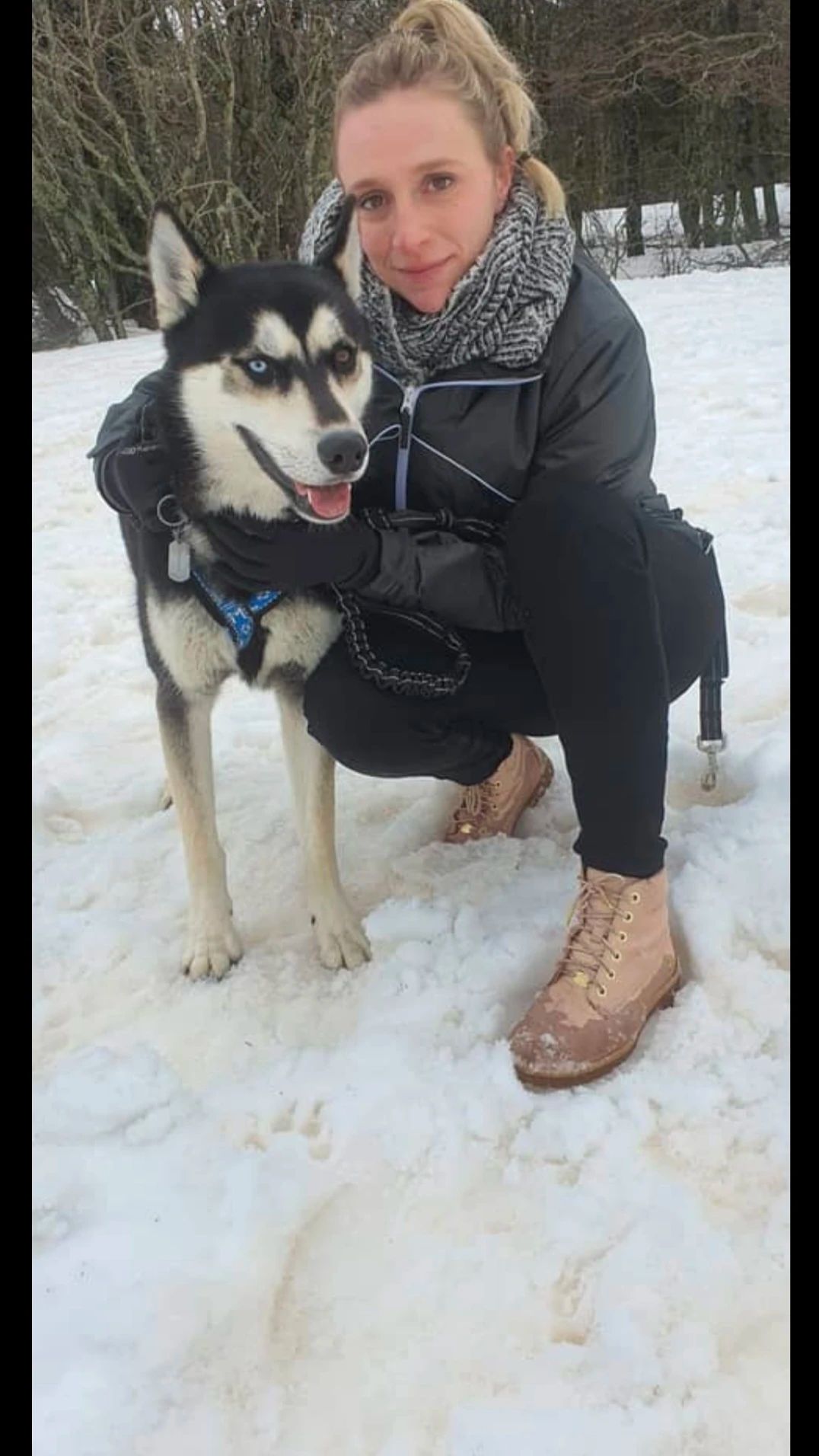 image-6