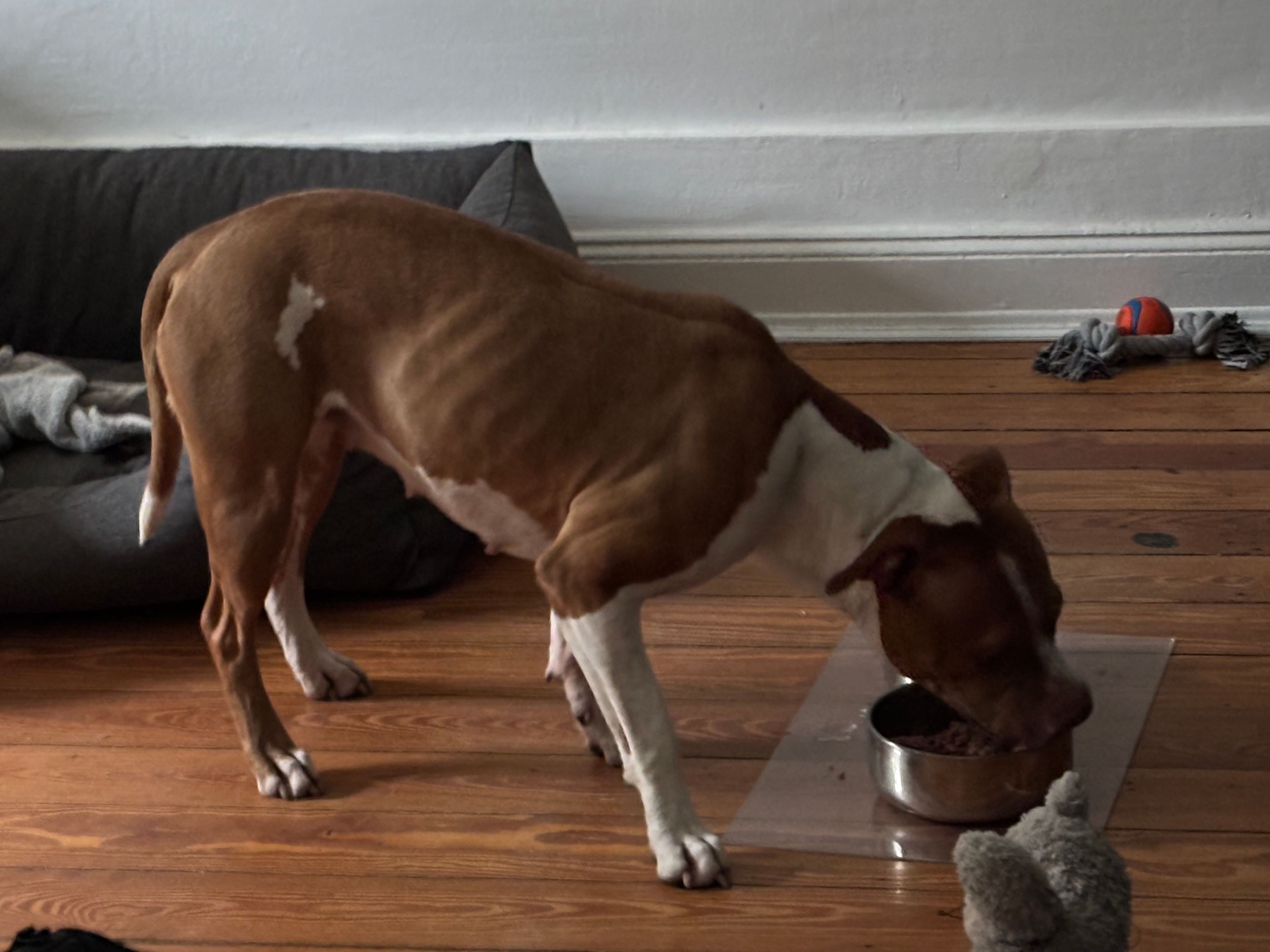 image-12