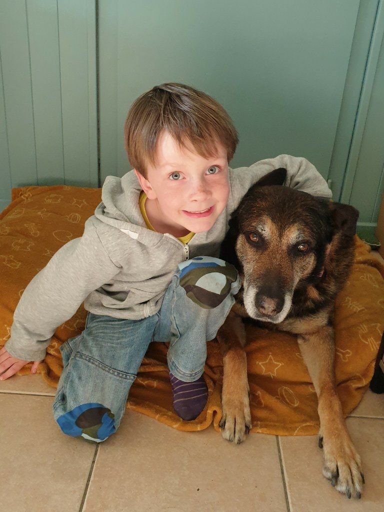 image-21