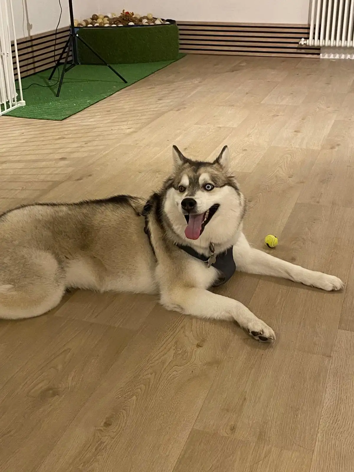 image-6