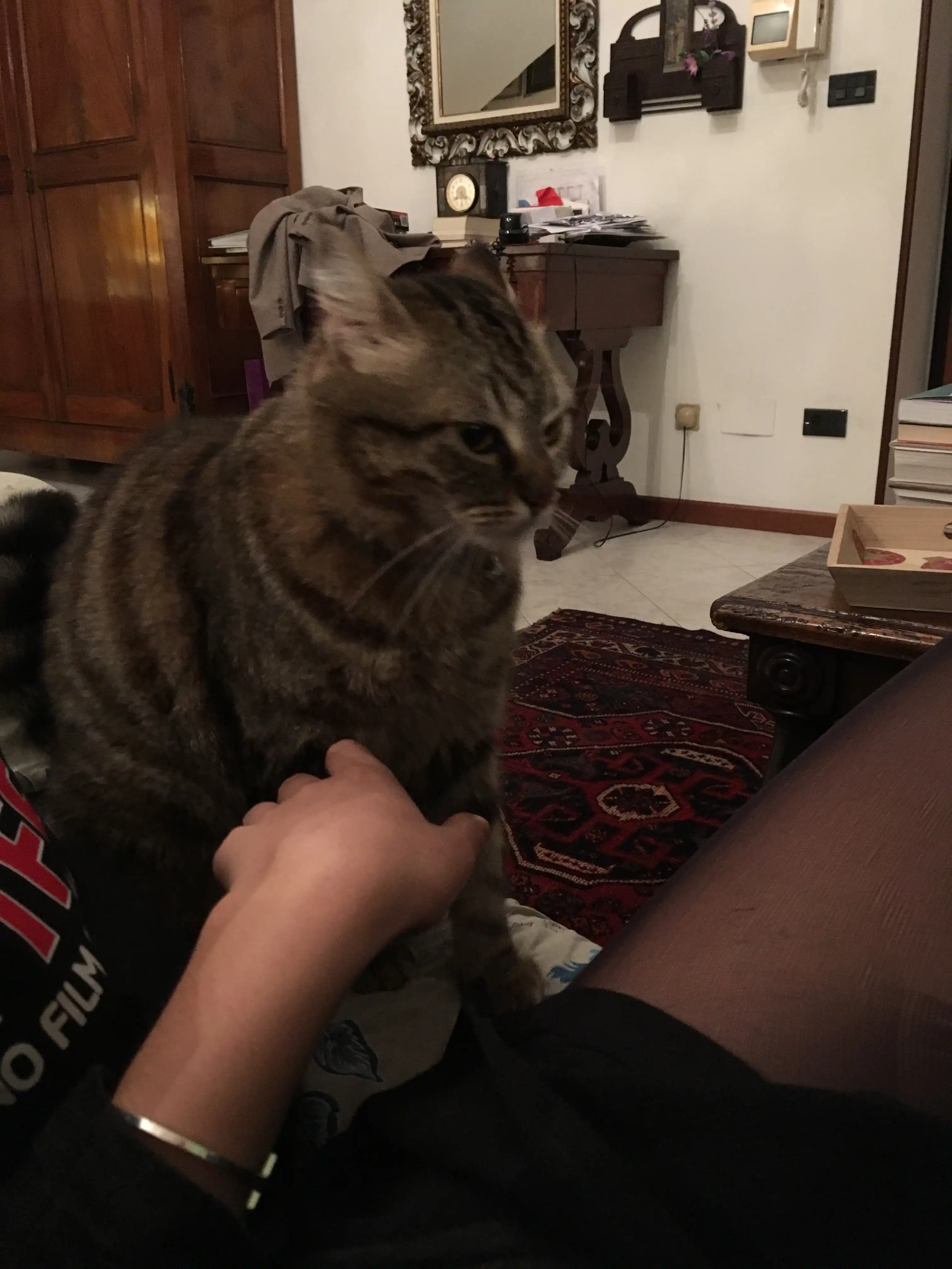 image-6
