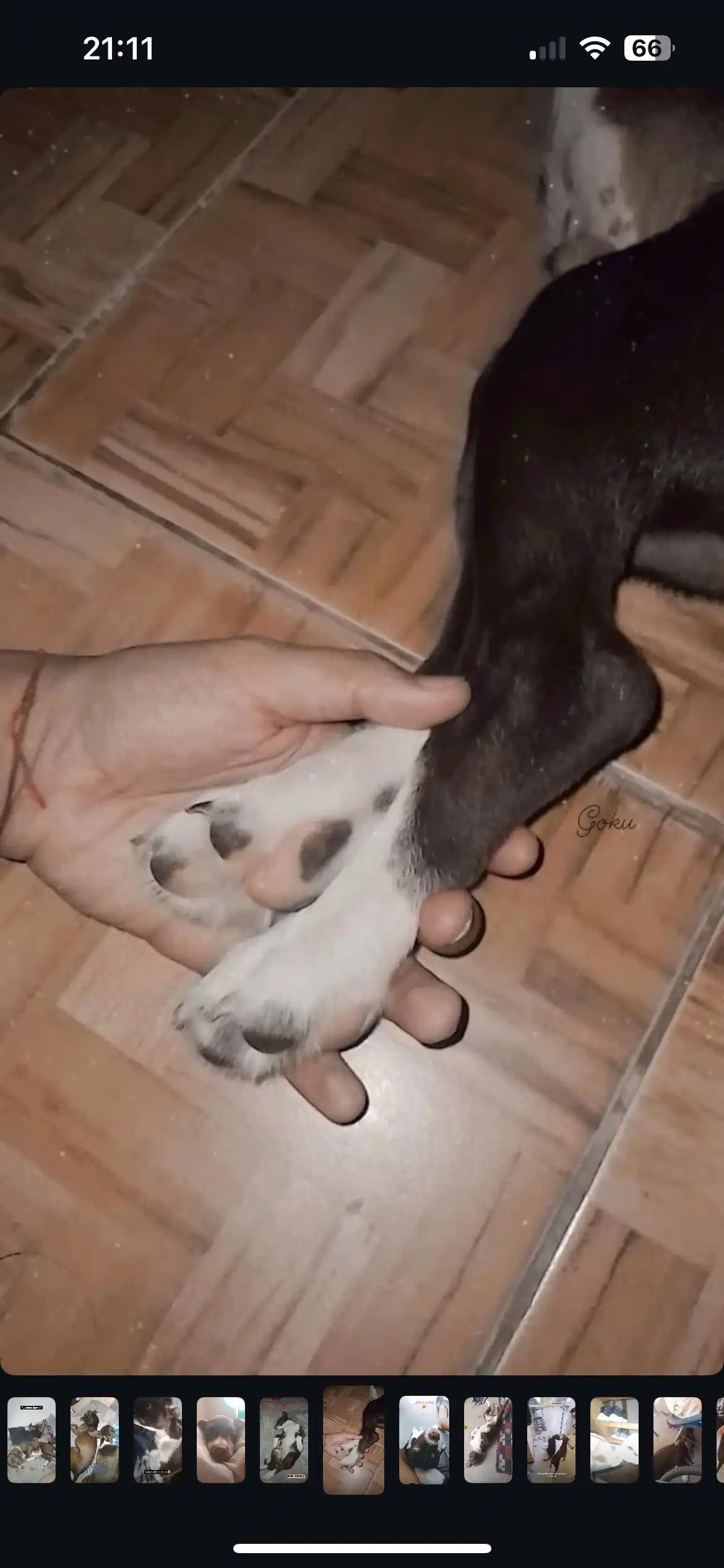 image-9