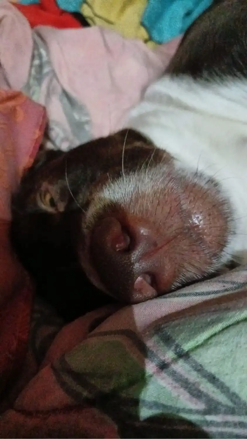 image-11